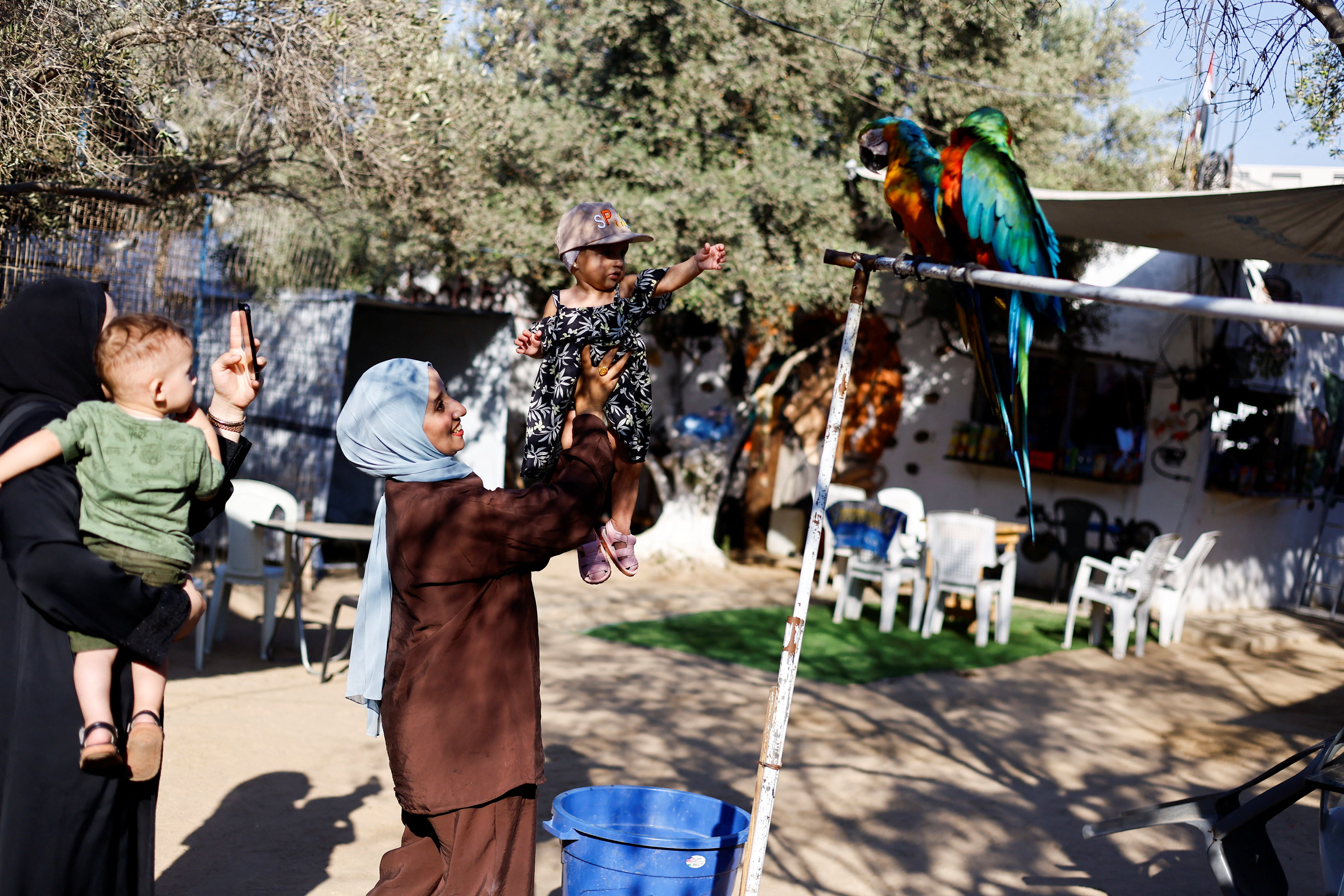A Palestinian family interacts with macaws during a visit to a zoo in Nuseirat, in the central Gaza Strip, August 6, 2026. REUTERS/Mahmoud Issa