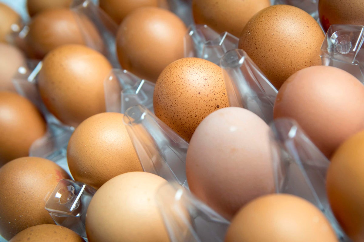 Mapped: Worst regions hit by deadly UK salmonella outbreak as cases rise