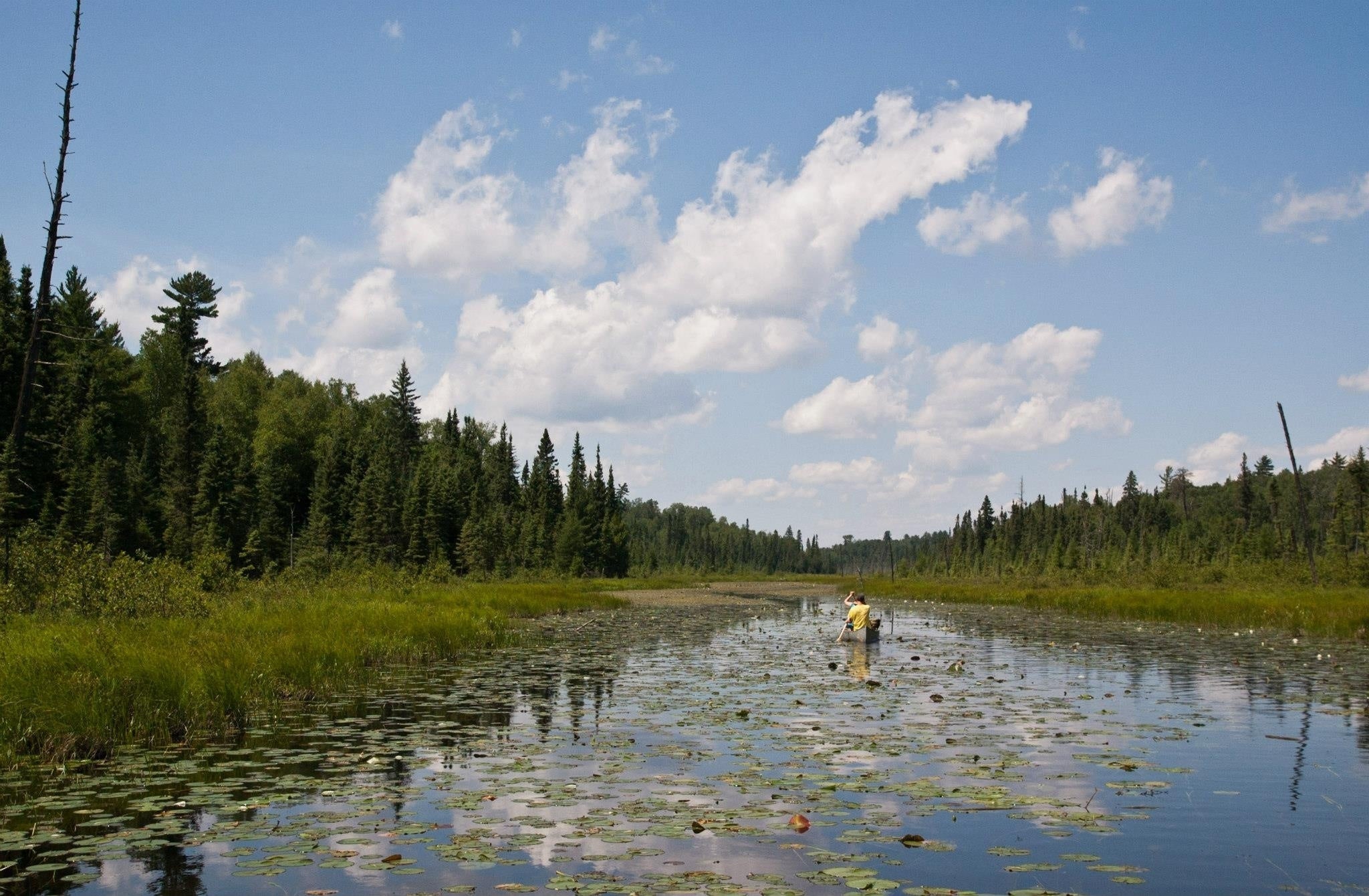 independent.co.uk - Via AP news wire - Minnesota governor signs order to stop any mining efforts in Boundary Waters wilderness