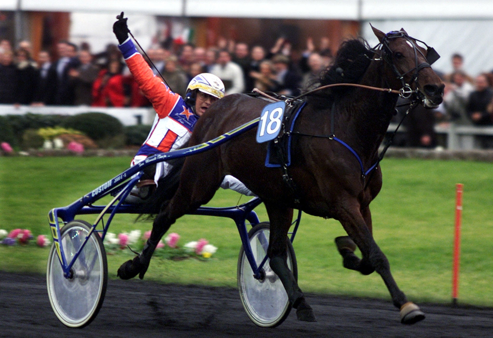 Varenne, Italy’s most celebrated trotting horse, dies at age 31