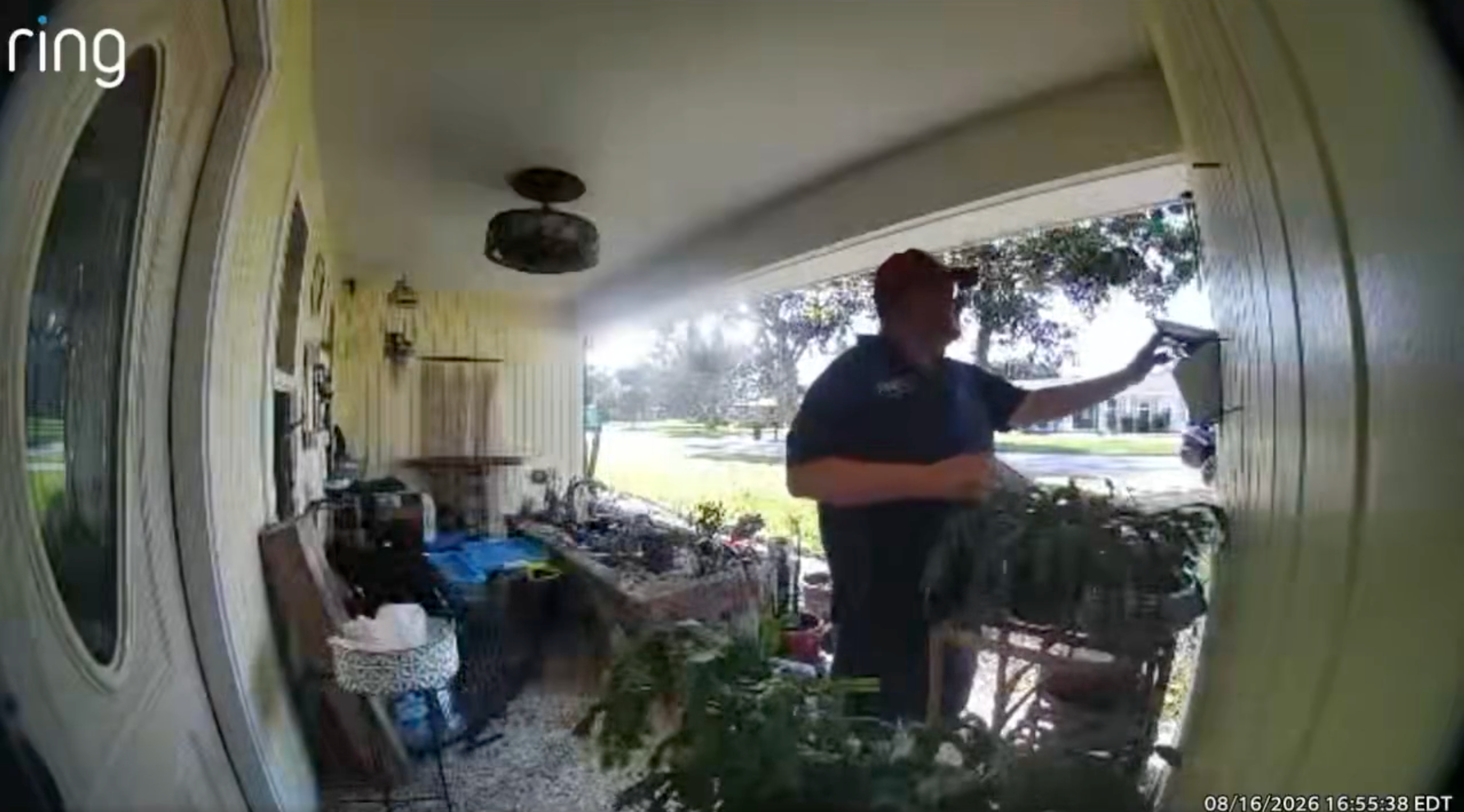 In the video, the congressman can be seen opening a wall-mounted mailbox and sifting through the contents (@barbiehhall, X)