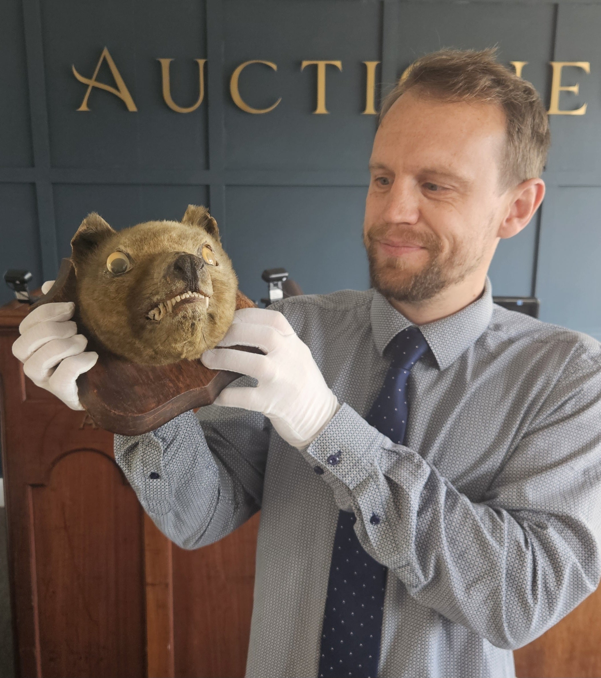 Bug-eyed ‘fox head’ bought for £50 is priceless Tasmanian tiger