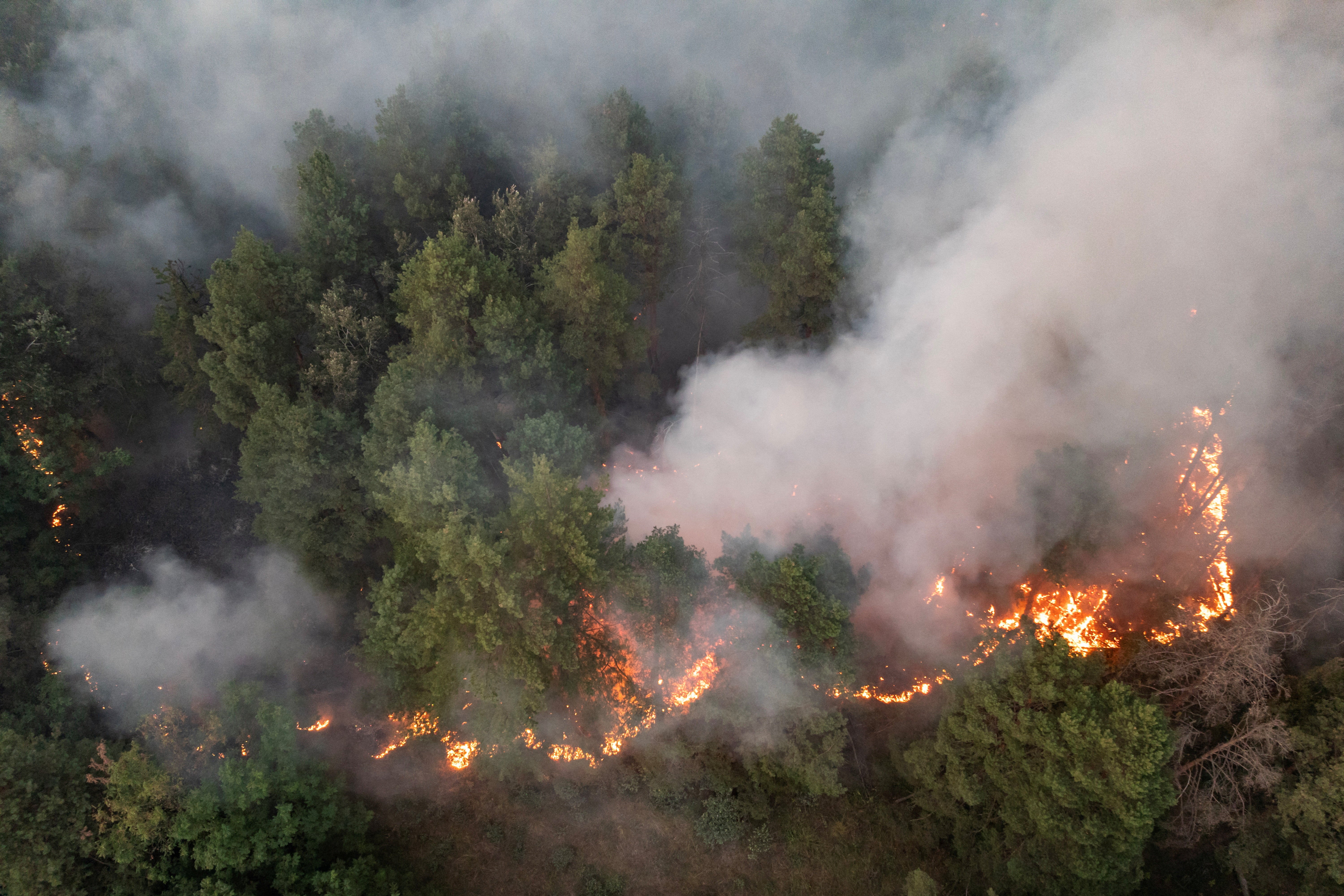 A drone view shows a wildfire burning in Deliblatska Pescara, Serbia