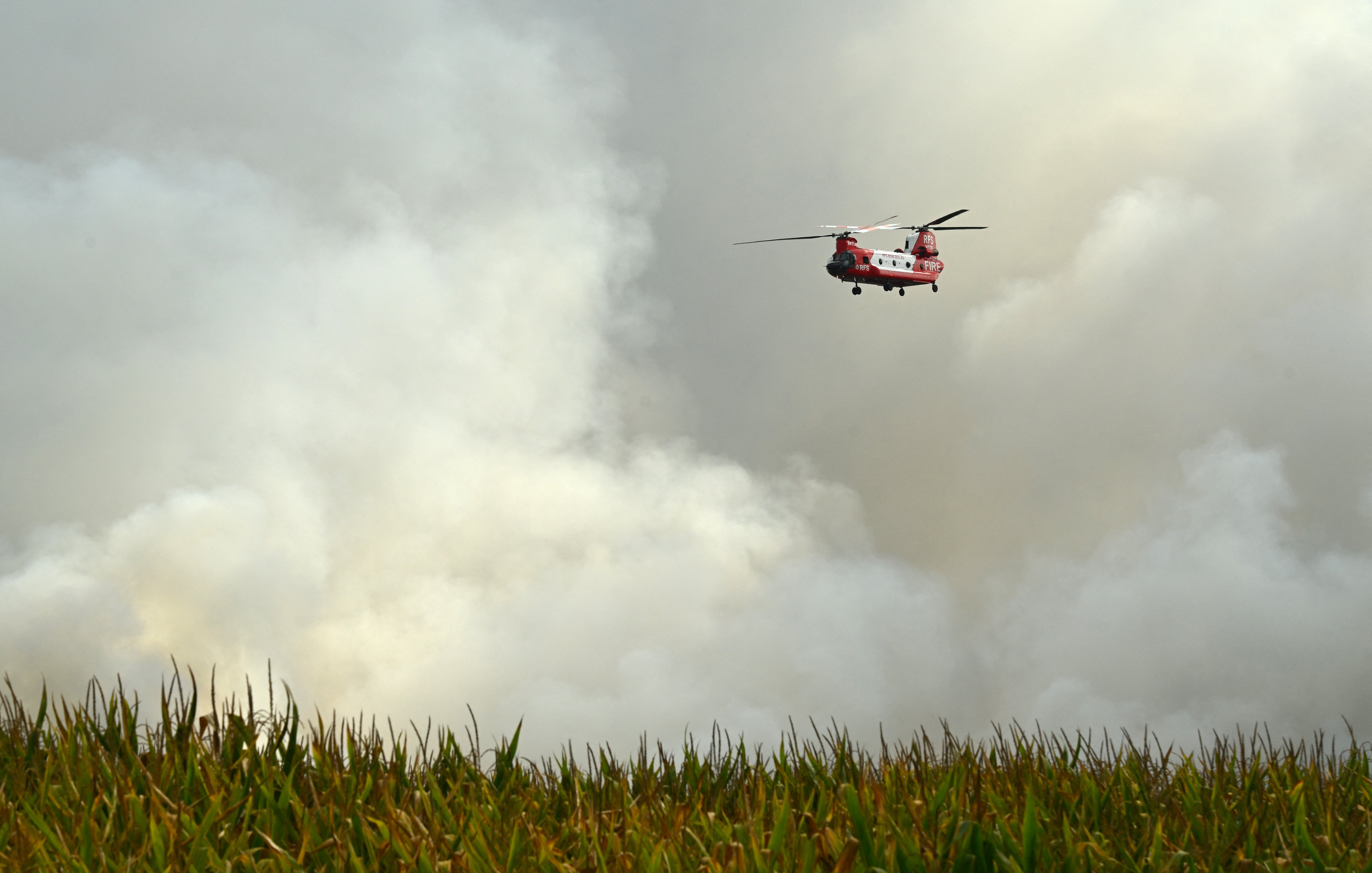 Australia Prepares for Widespread Bushfire Risk Amid Strengthening El Niño