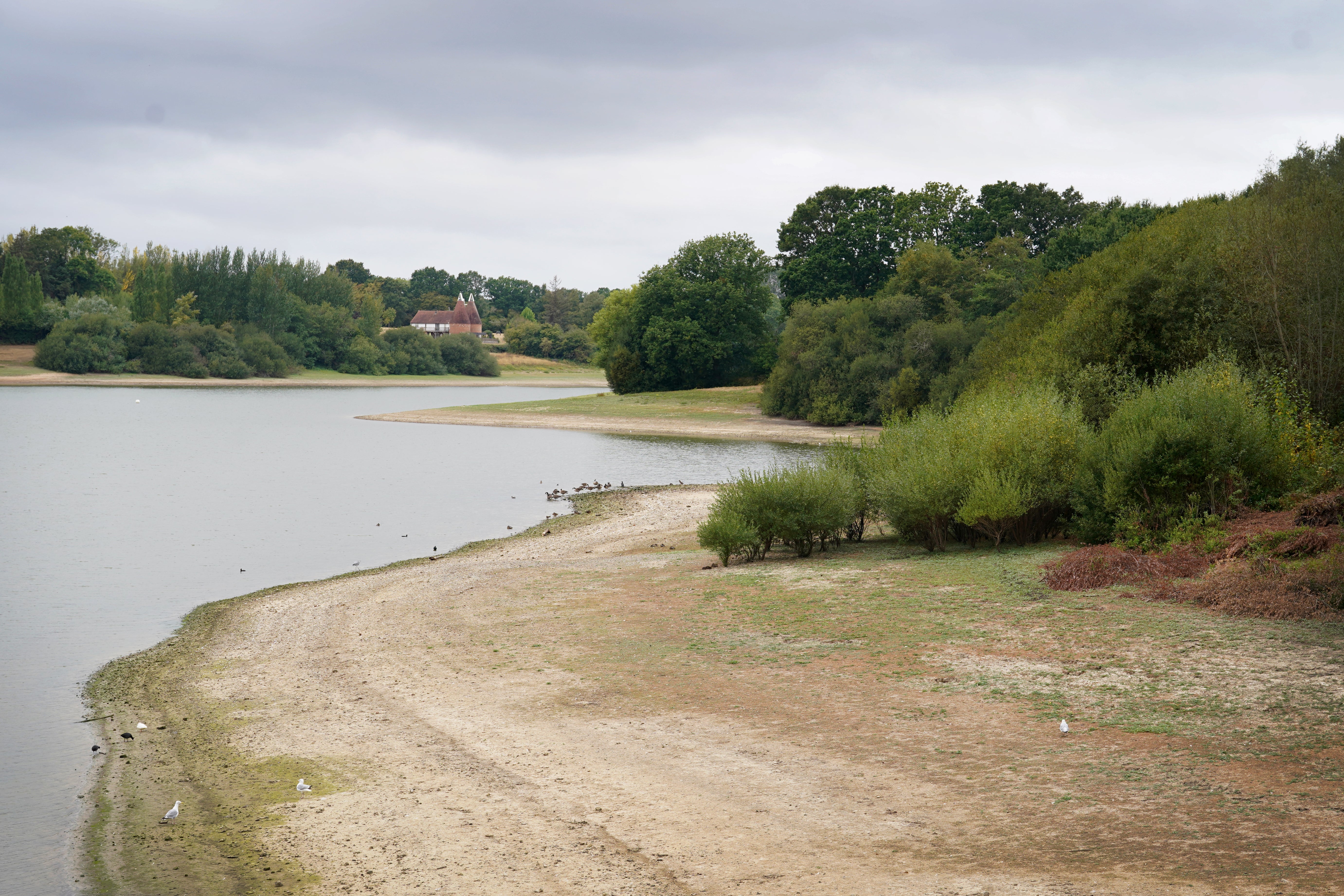 Bewl Water Reservoir in Kent, which currently stands at 68 per cent of its capacity (PA)