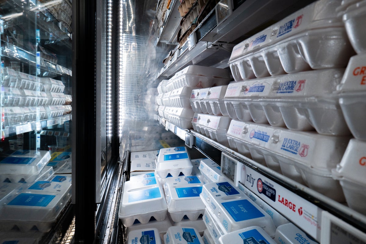 Belgium hit by large Salmonella outbreak with 300 left ill after eating contaminated eggs