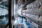 Belgium hit by large Salmonella outbreak with 300 left ill after eating contaminated eggs