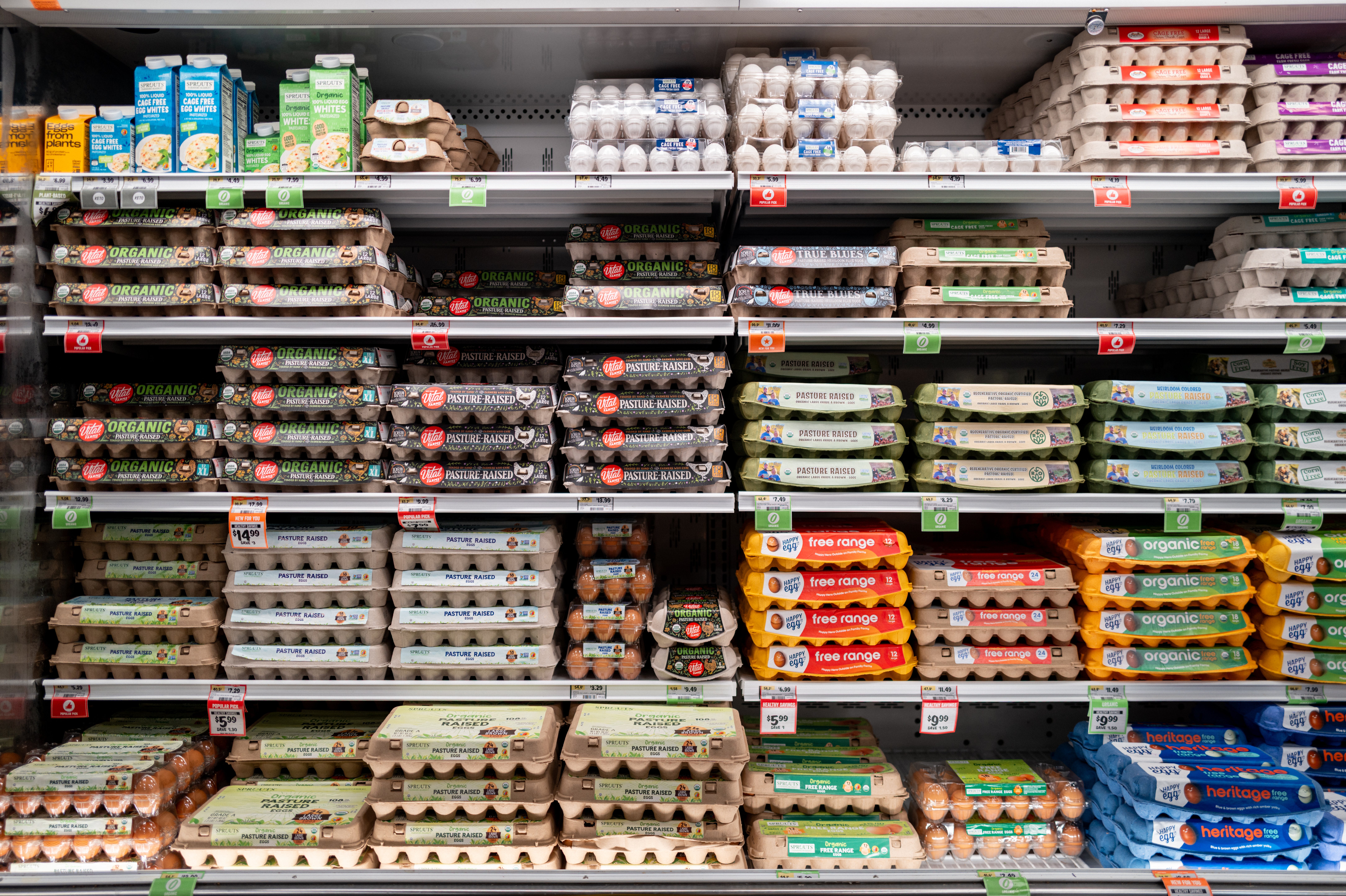300 people in Belgium have now been infected with Salmonella