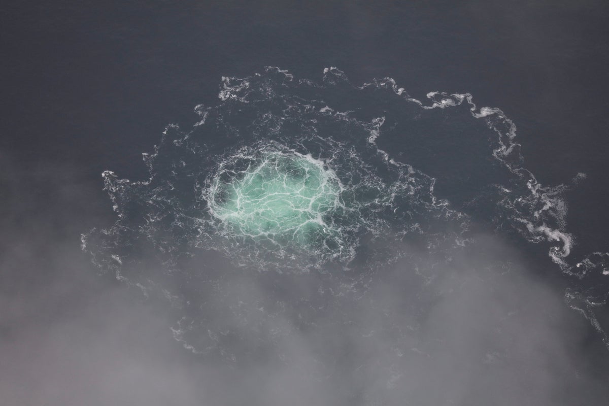 Ukrainian man arrested over undersea explosions that damaged gas pipelines in 2022