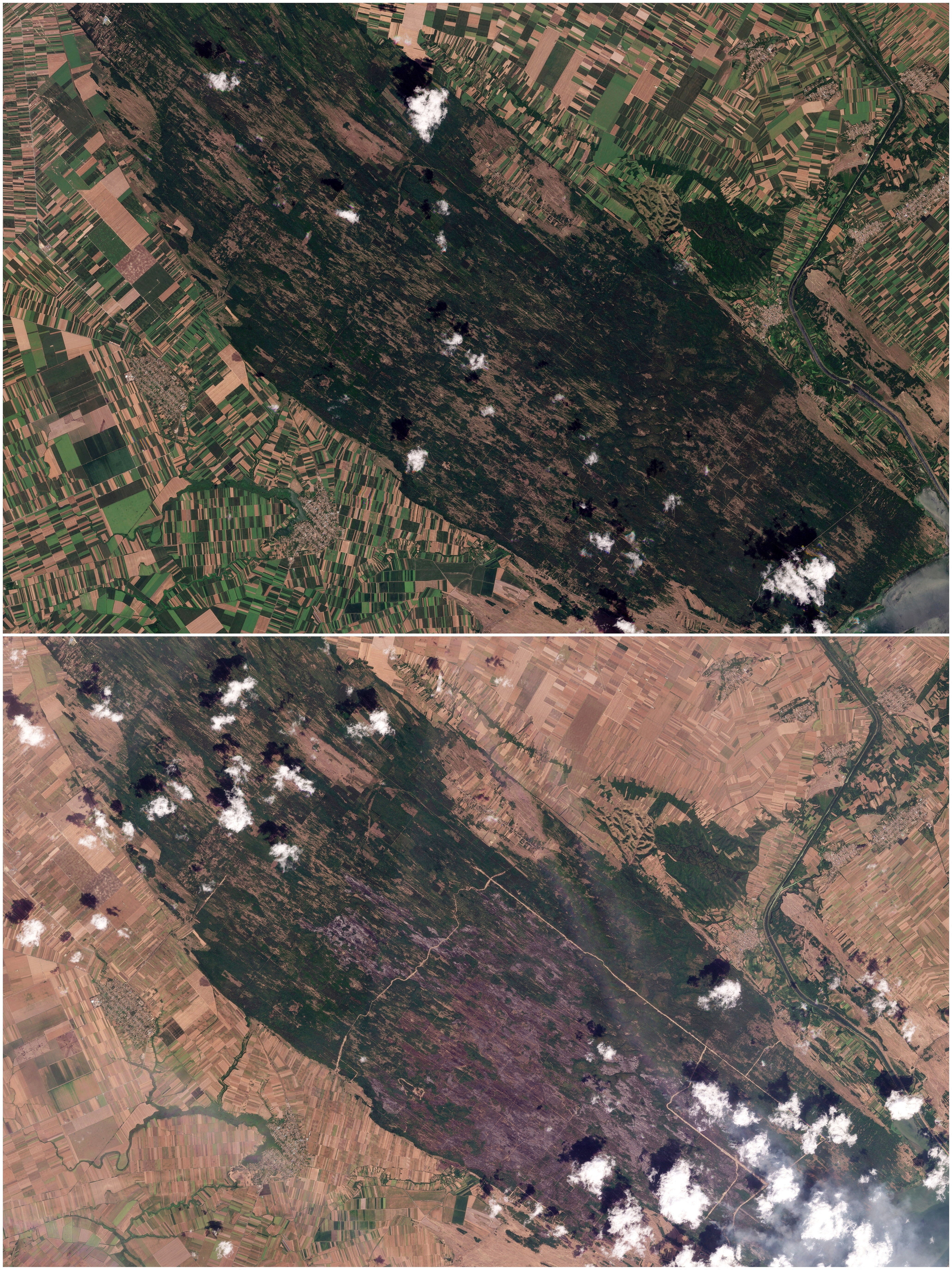 A combination of satellite images shows the Dubovac region of Serbia before the recent wildfires (top), July 28, 2026, and after the disaster (bottom), August 18, 2026