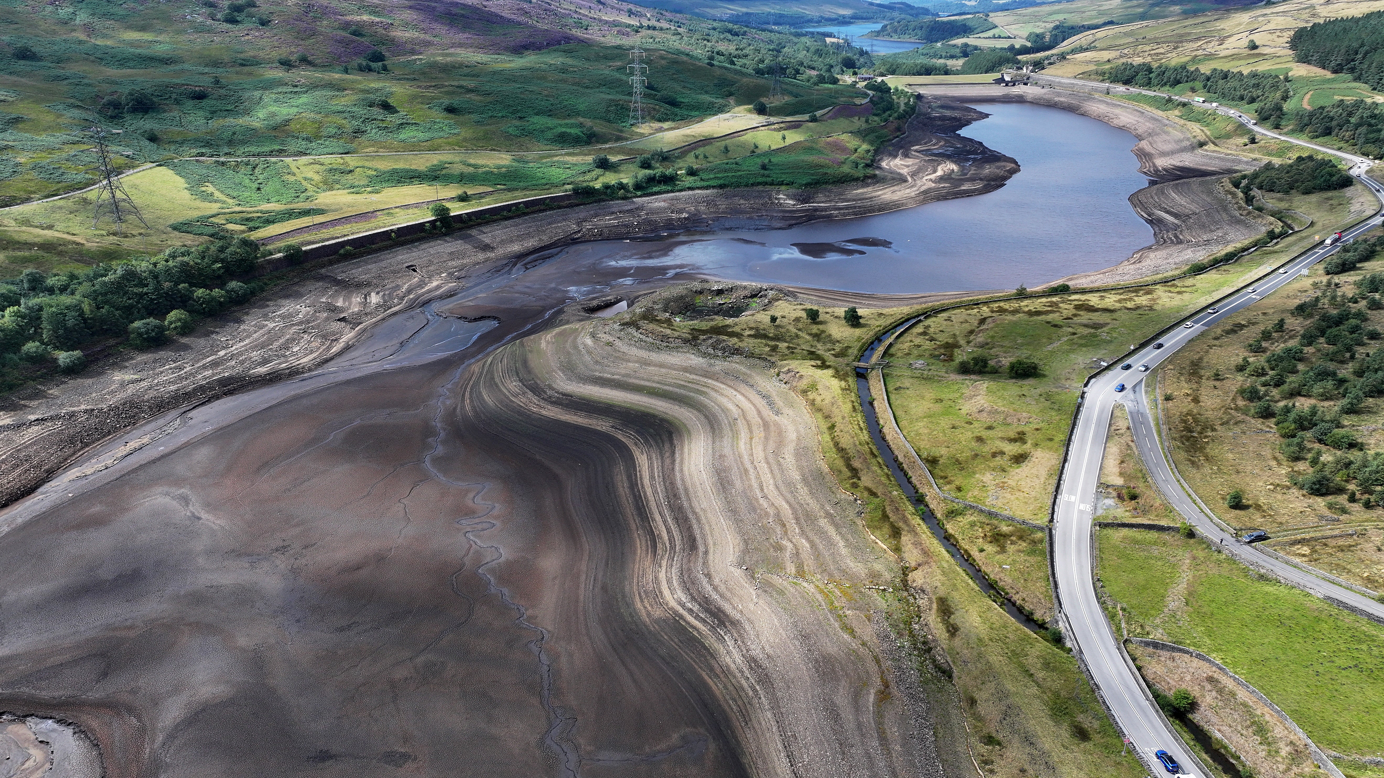 Many invertebrates need bogs and ditches to complete their life cycles, so even a temporary loss of water is bad news.