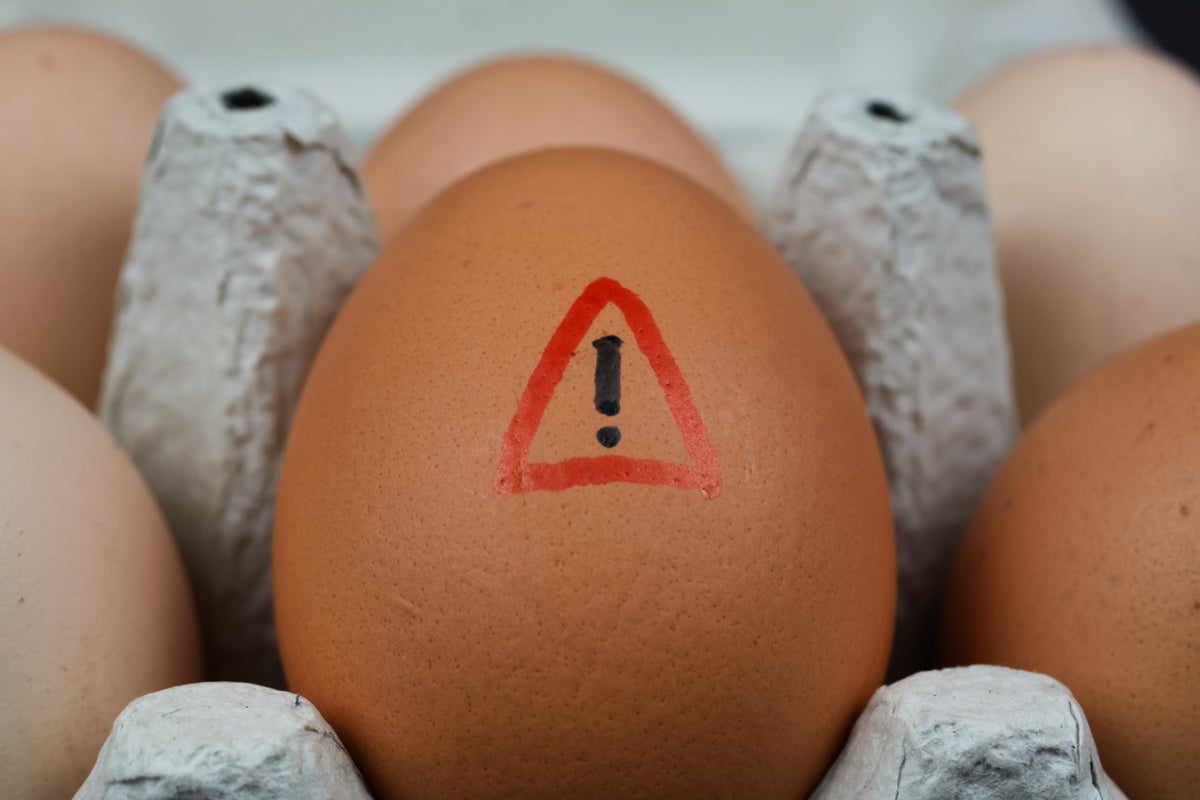 How Salmonella from eggs can cause deadly infections amid UK outbreak