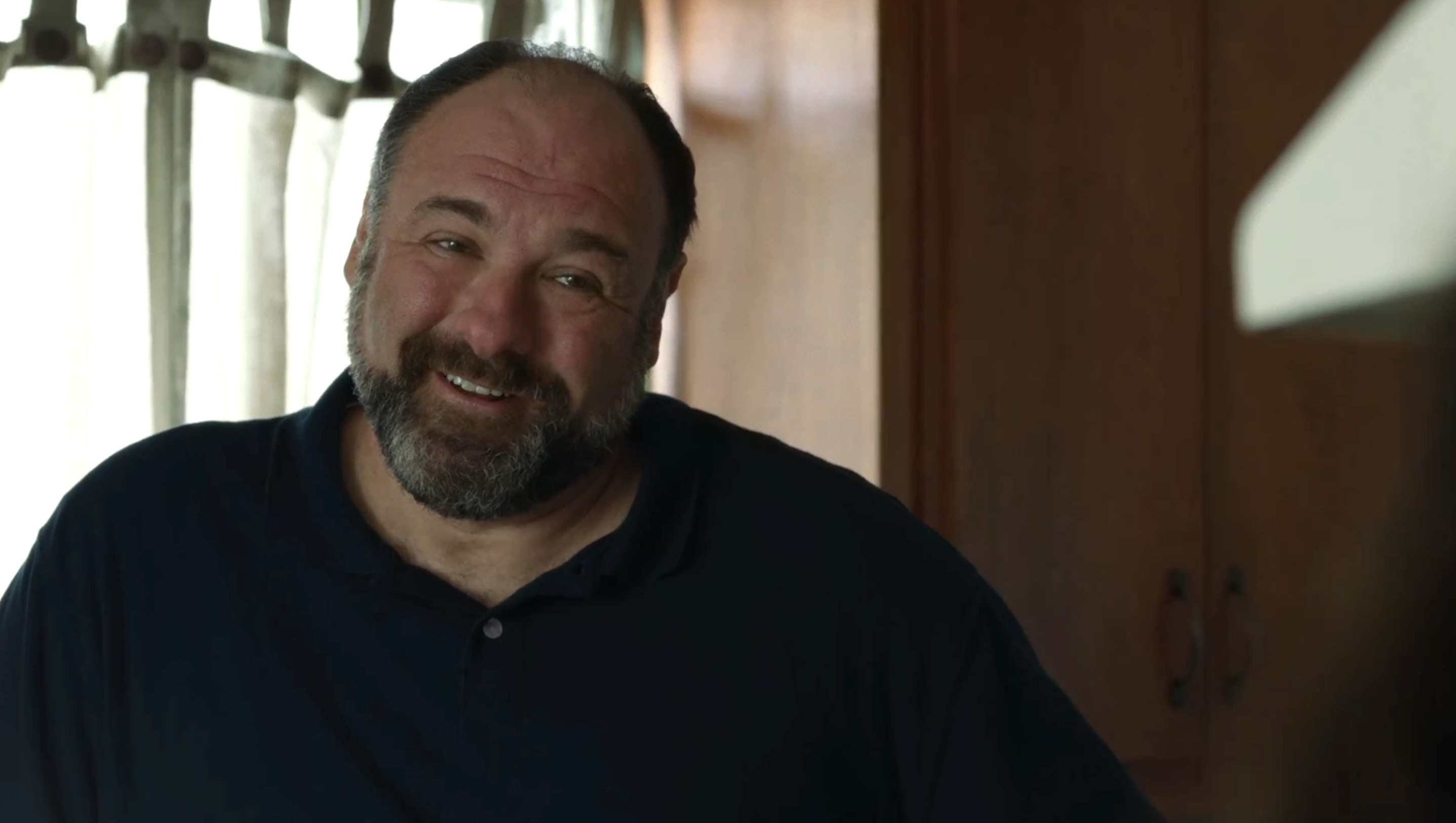 James Gandolfini in ‘Enough Said’