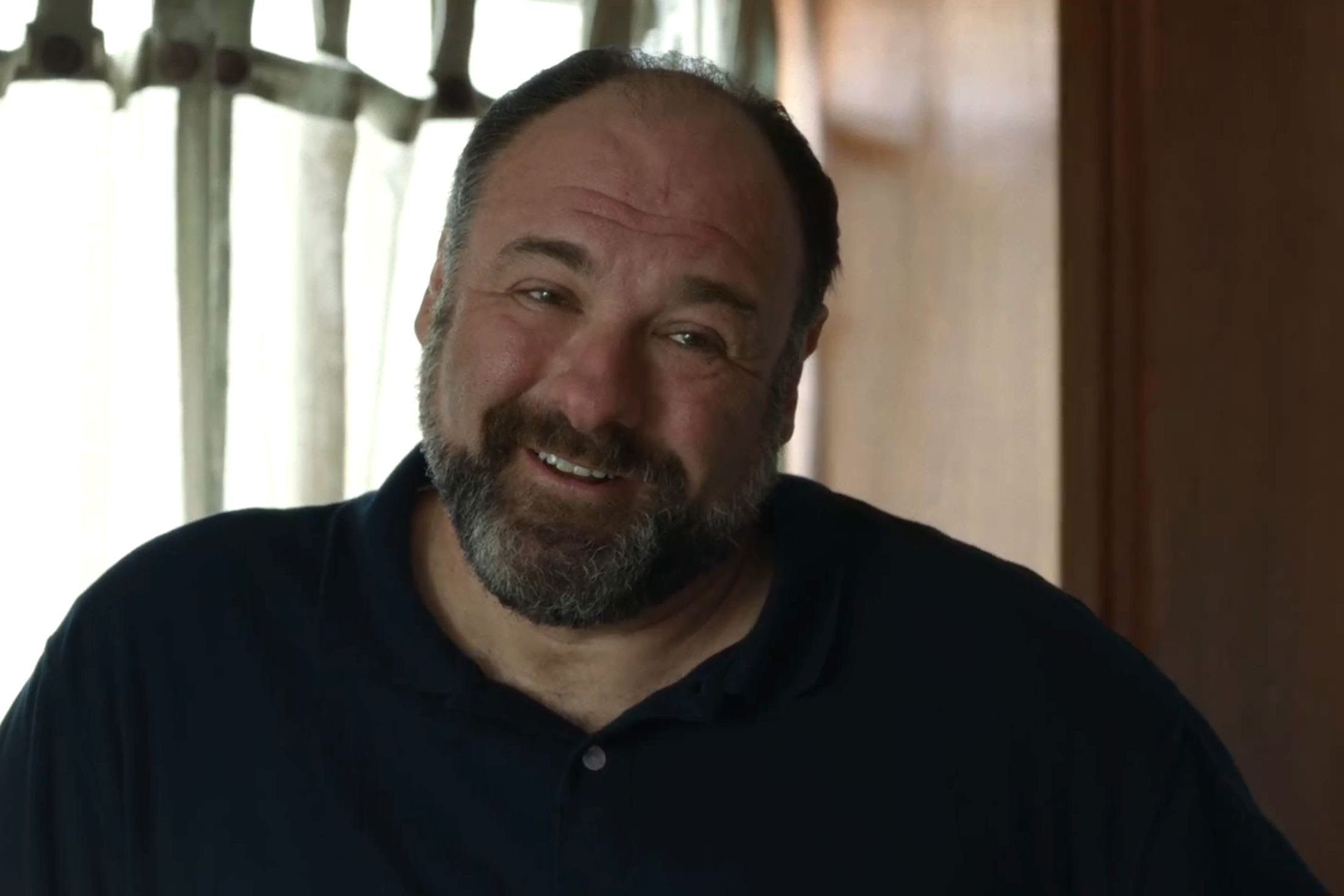 James Gandolfini in ‘Enough Said’ (Searchlight Pictures)