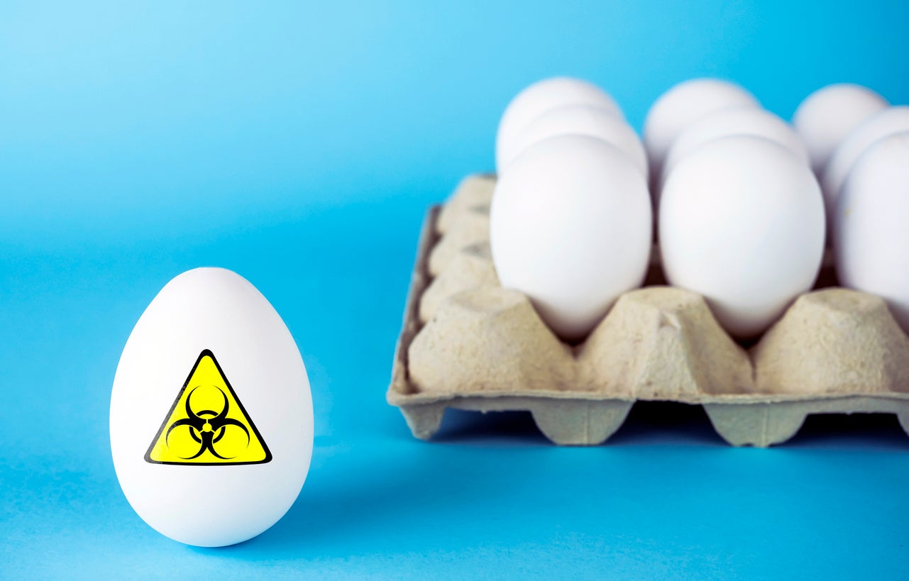 For most people, a Salmonella infection causes gastroenteritis