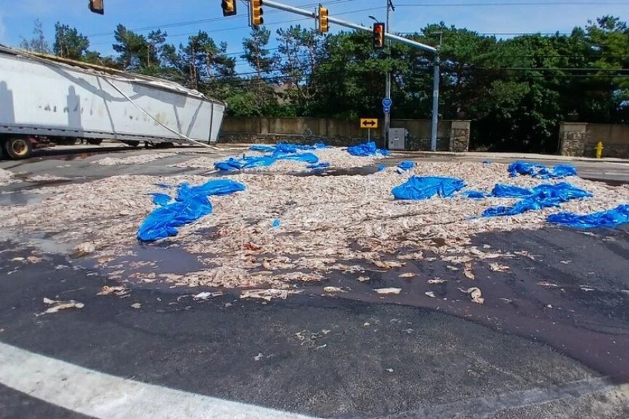 20-ton squid spill causes major traffic delays in Rhode Island
