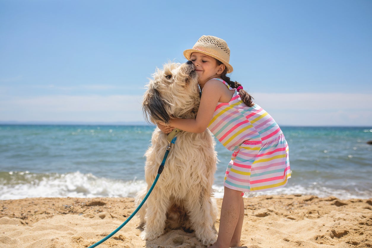 <p>El apego es el vínculo emocional que se establece entre un niño durante su desarrollo y la persona que lo cuida, y que le proporciona seguridad, protección y consuelo</p>