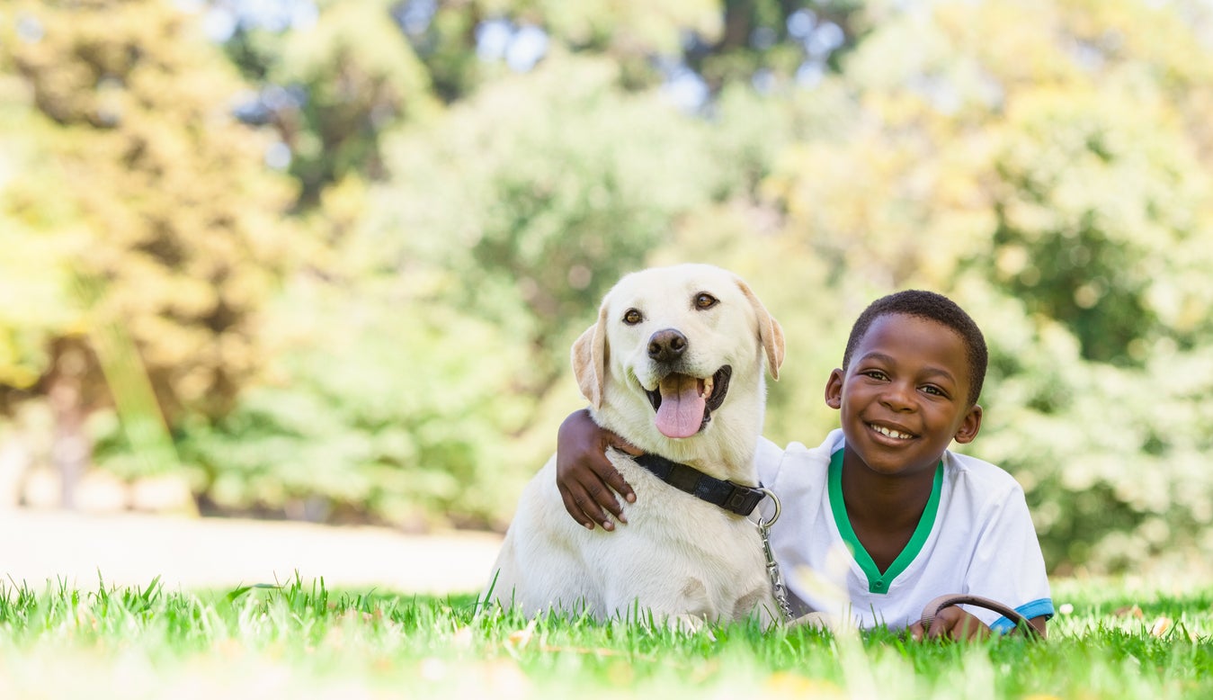 They boost emotional regulation, helping children learn to calm themselves