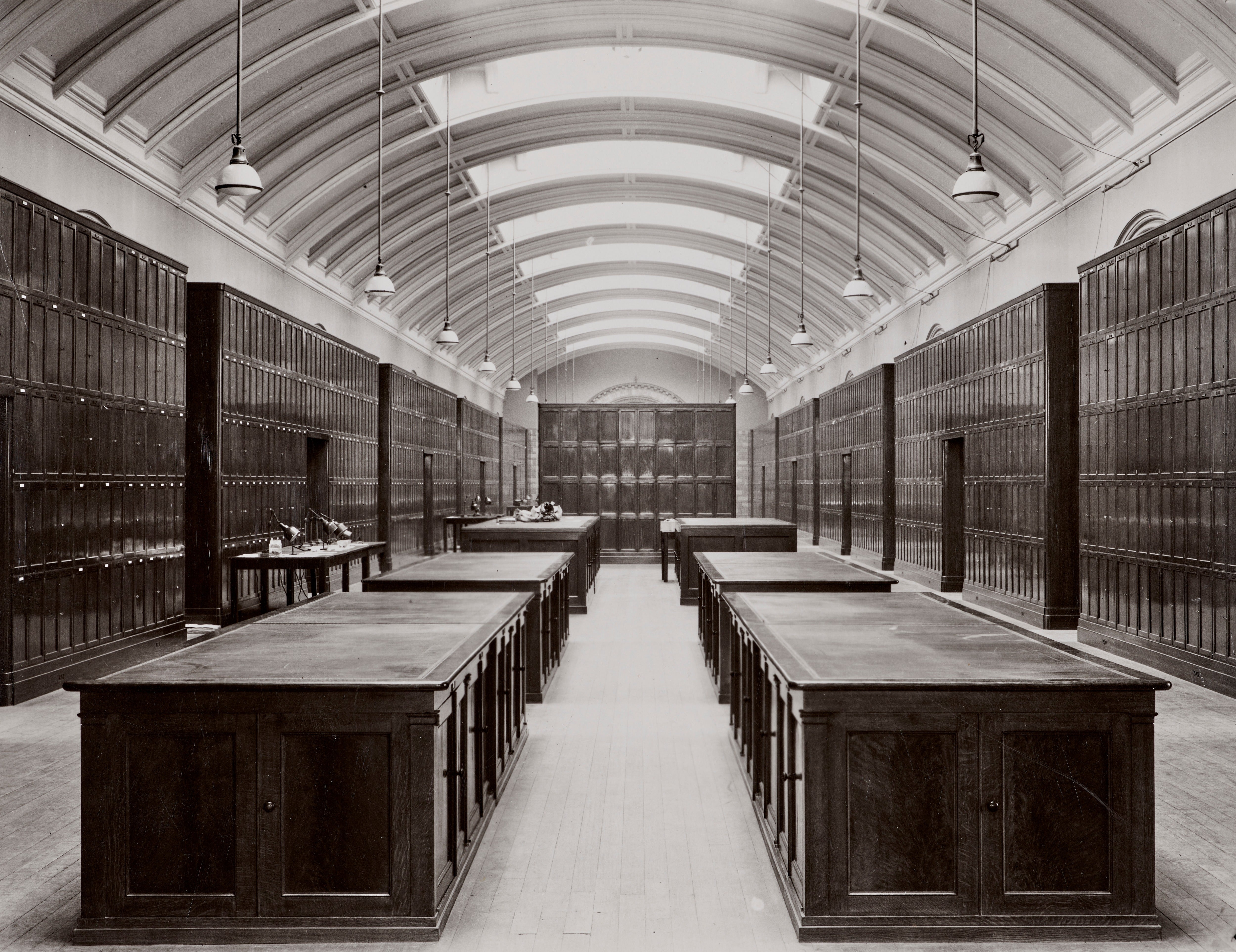 The National History Museum is reopening a hidden gallery