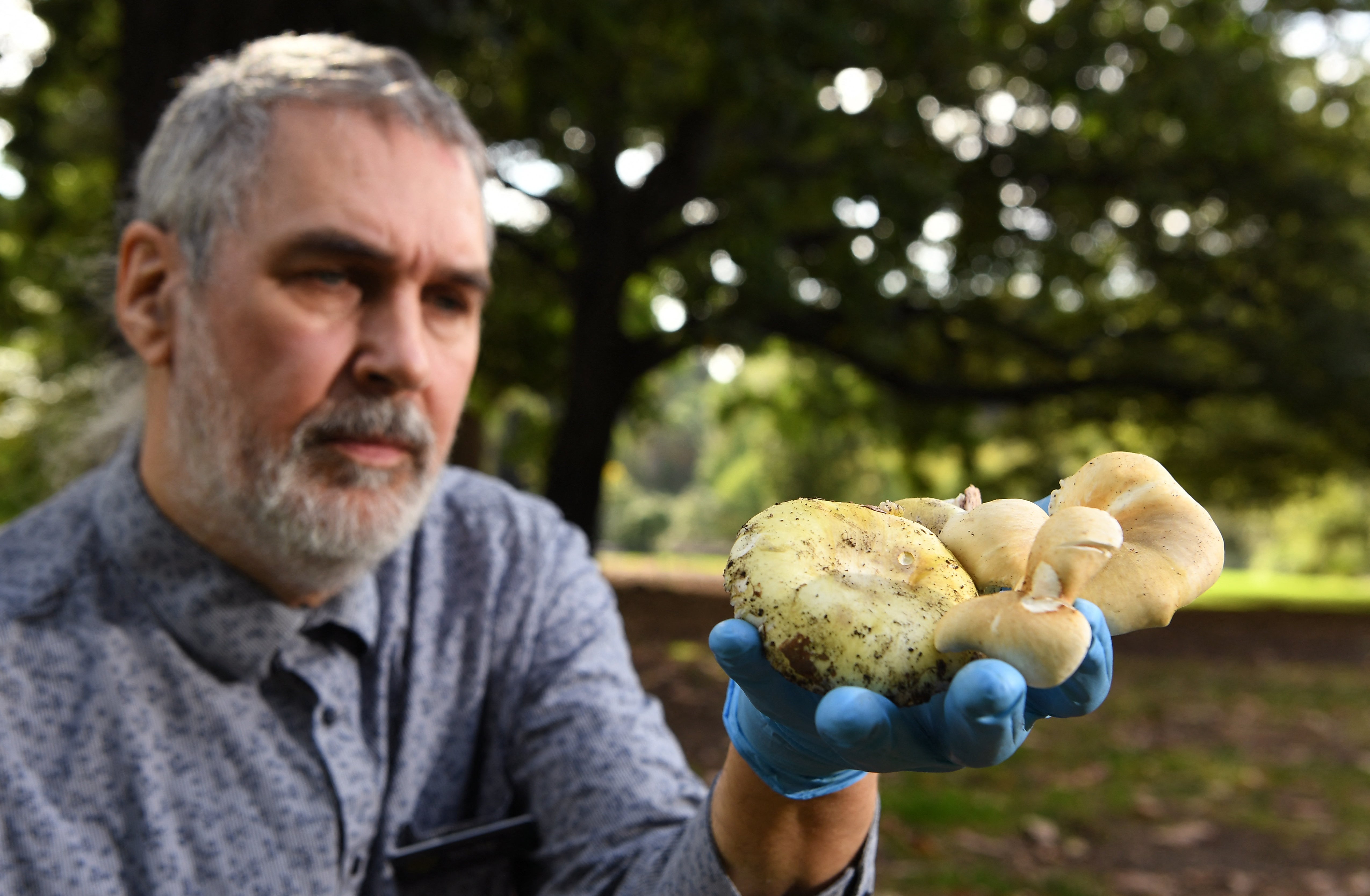 Tom May, a research scientist at the Royal Botanic Gardens in Melbourne, inspects death-cap and ghost-fungus mushrooms on 31 March 2021 (AFP/Getty)