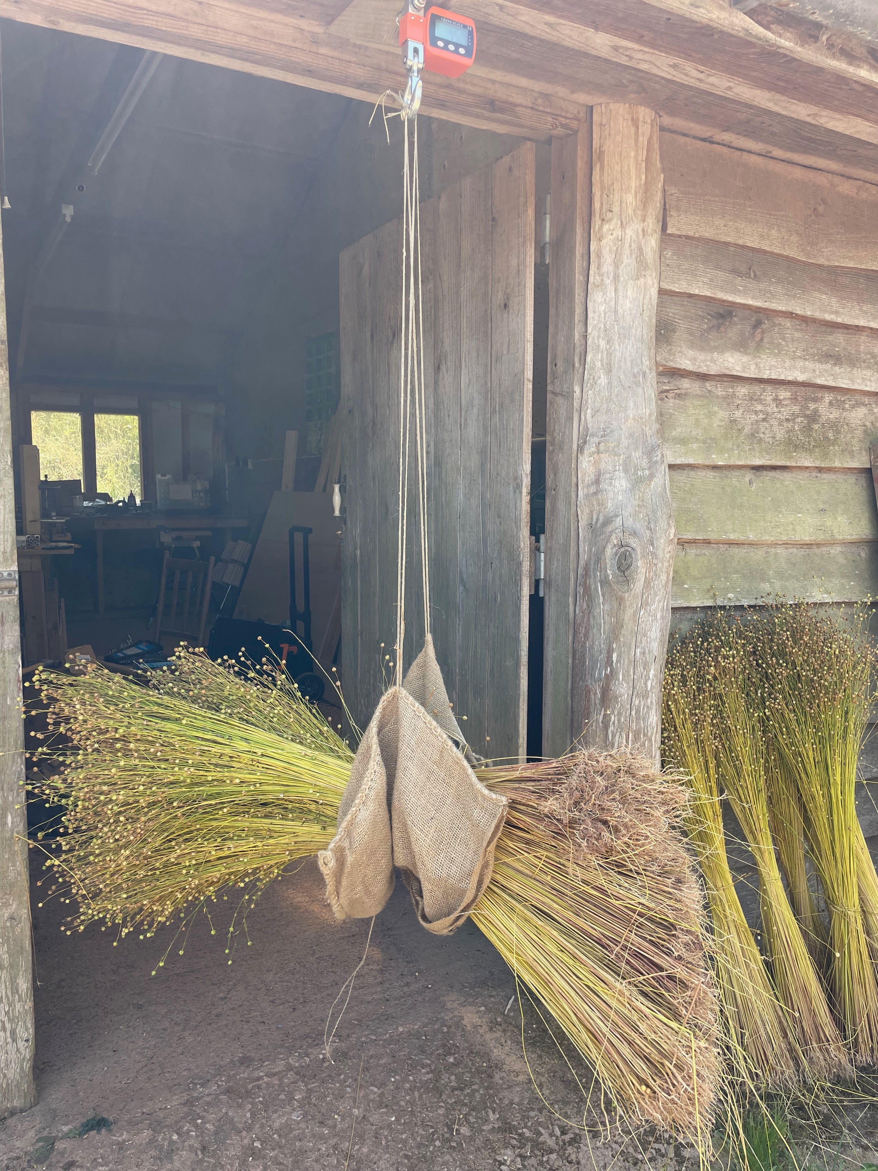 Harvested flax is carefully weighed before processing, making visible the precious raw material, time and labour that lie behind every piece of linen cloth.