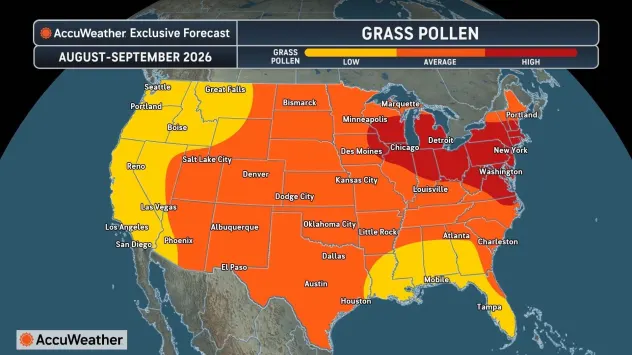 This AccuWeather graphic shows where grass pollen levels will be the highest this fall. The highest levels are seen in red, moderate levels in orange and lower levels in yellow