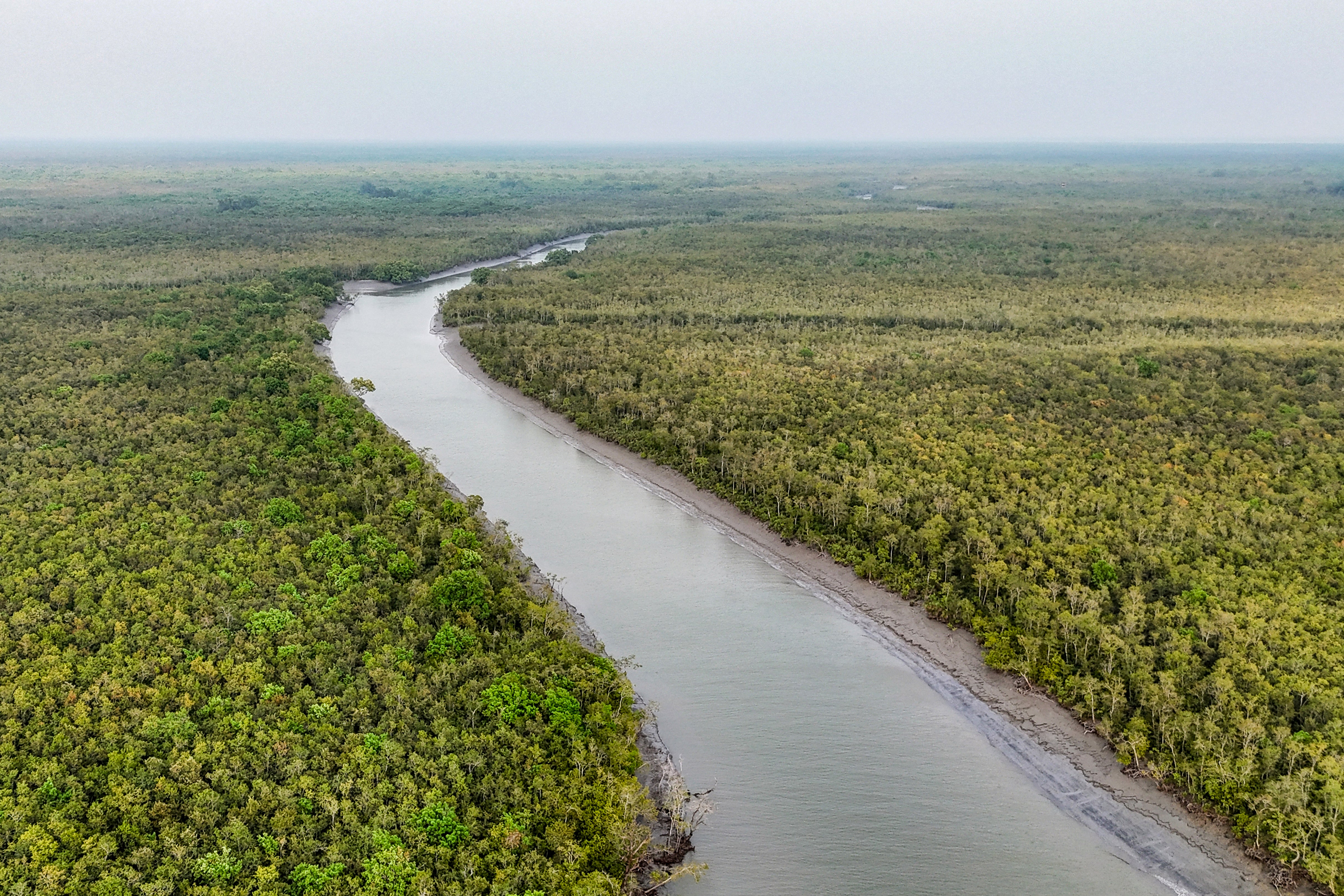 An aerial photograph of a river winding through the Sundarbans in Bangladesh