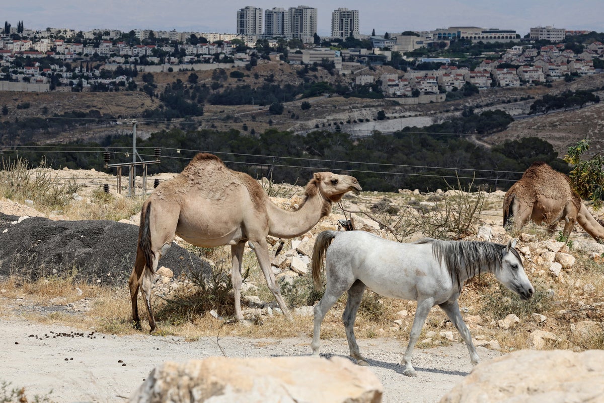 UK clashes with Israel over controversial West Bank settlement