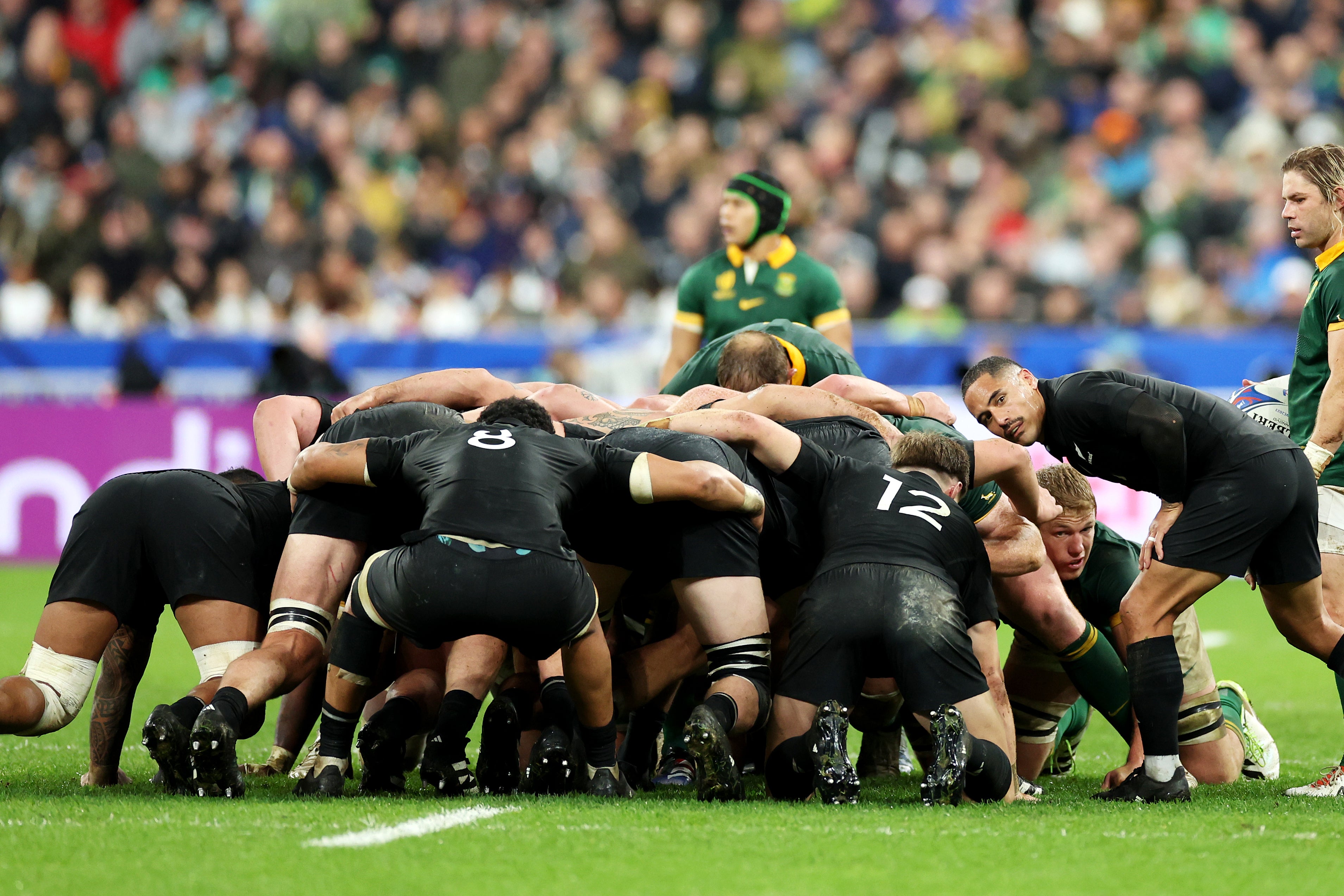 South Africa vs New Zealand (Getty)