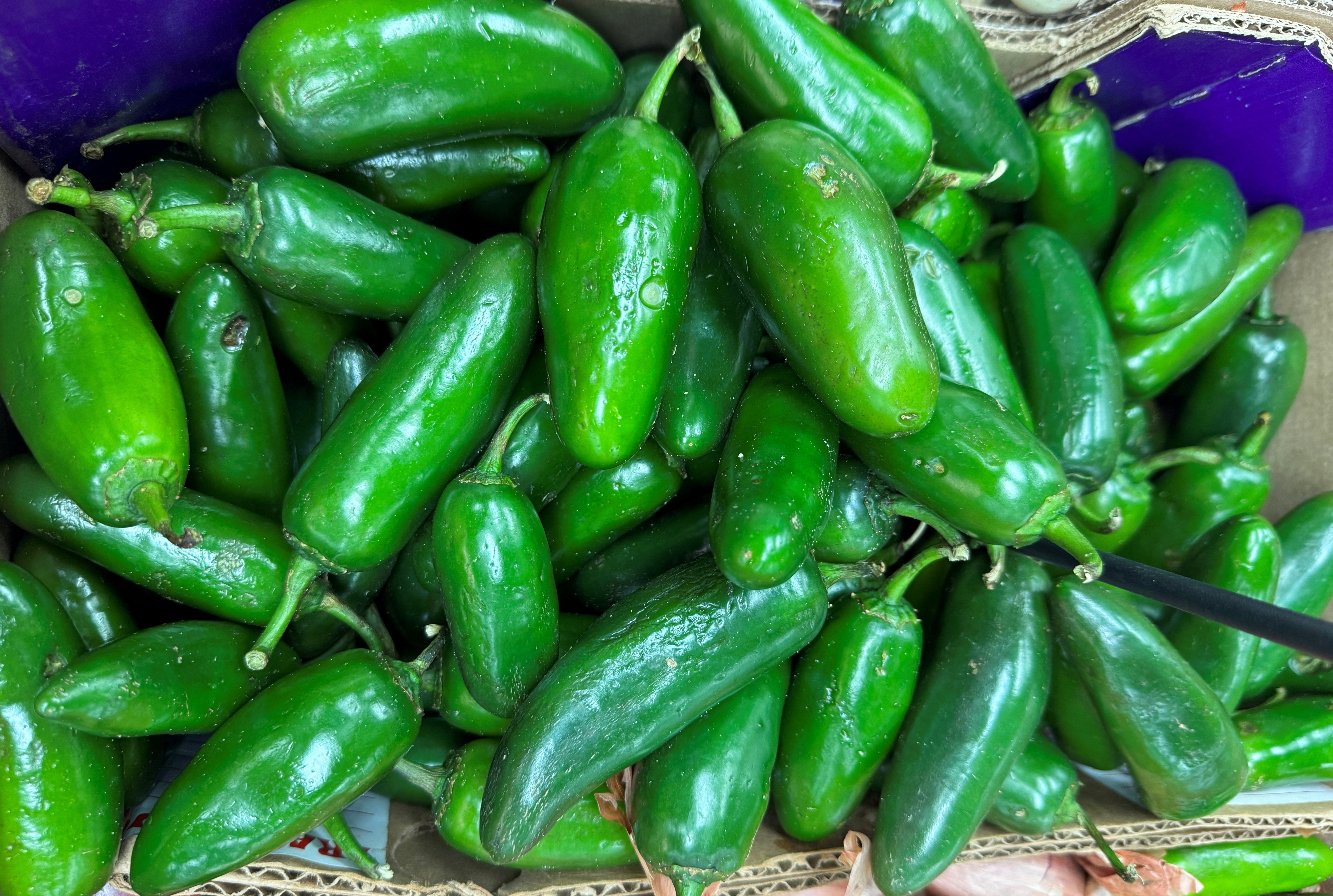 https://static.independent.co.uk/2026/08/20/20/2026-08-10T184728Z_2116995490_RC2TVMABRDL2_RTRMADP_3_USA-HEALTH-SALMONELLA.JPG?trim=15,0,15,0&width=1200&height=800&crop=1200:800