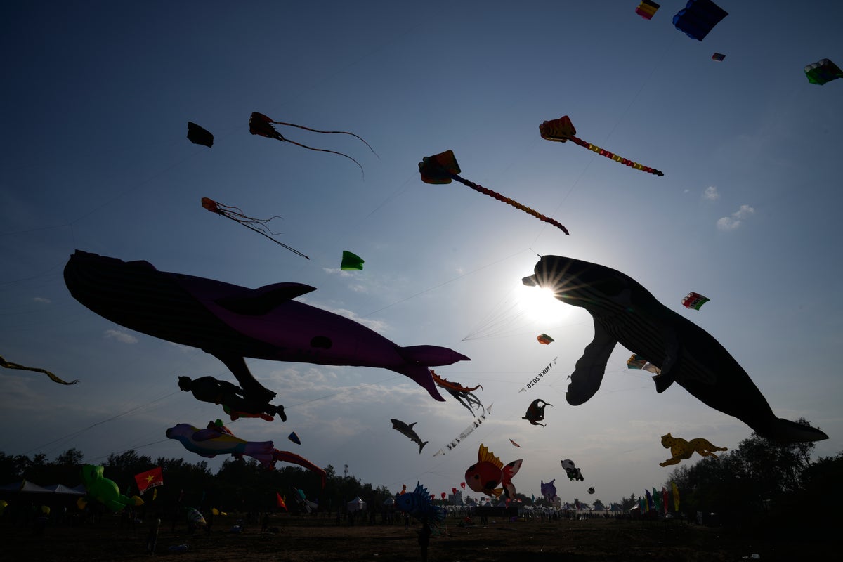 A Review of Associated Press Photography from August 14–20, 2026