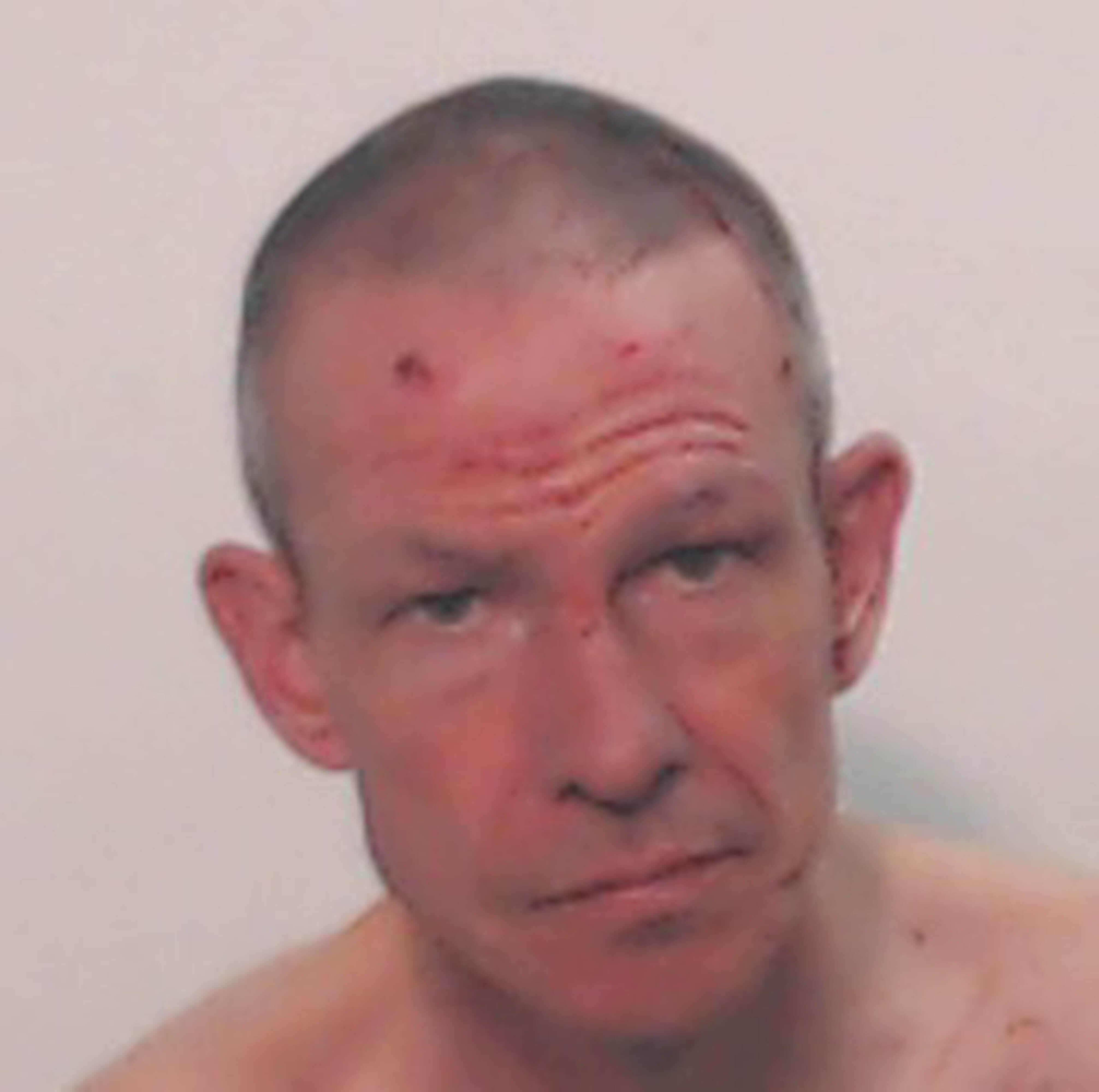 Banned driver killed great-grandfather after crashing stolen supercar into garden 
