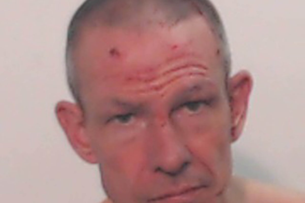 Banned driver killed great-grandfather after crashing stolen supercar into garden