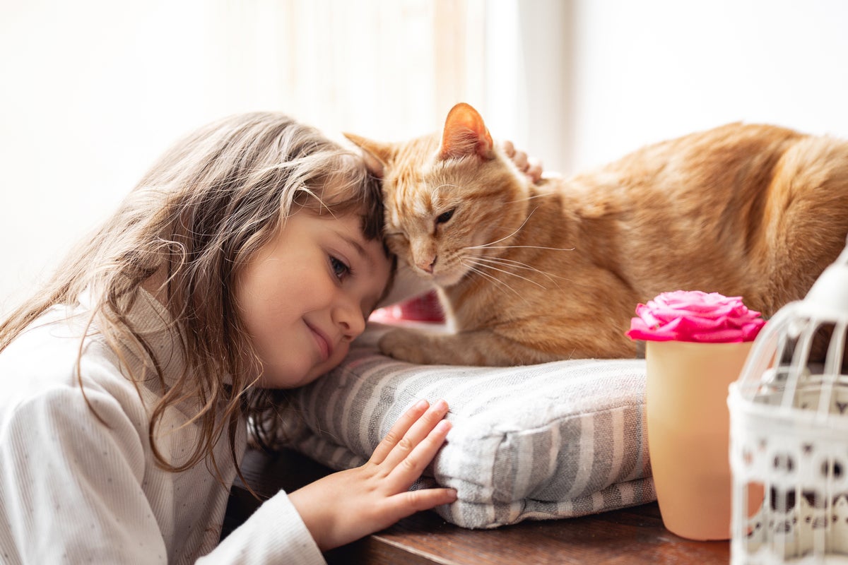 Cats are the only common pet linked to more mental health problems in children, study finds Cats are the only common pet linked to more mental health problems in children, study finds