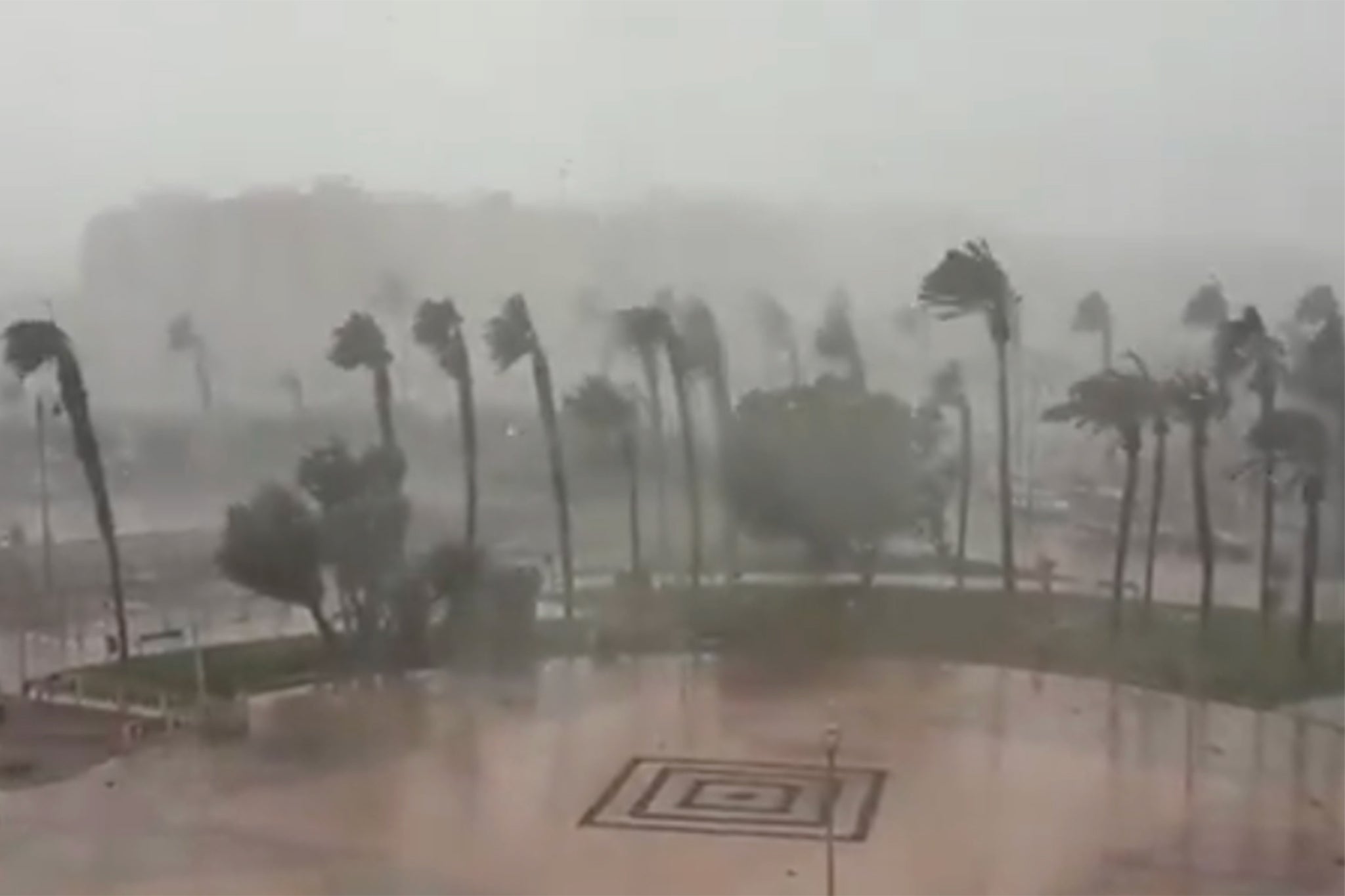 A thunderstorm then hit Valencia on Thursday taking down trees and damaging buildings, with lightning bolts causing fires