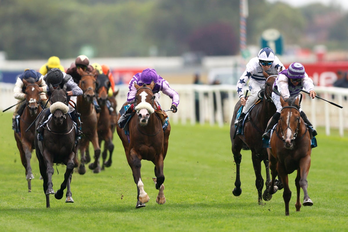 Photo: independent.co.uk Ebor Handicap 2026: Emit Emerges as Leading Contender at York