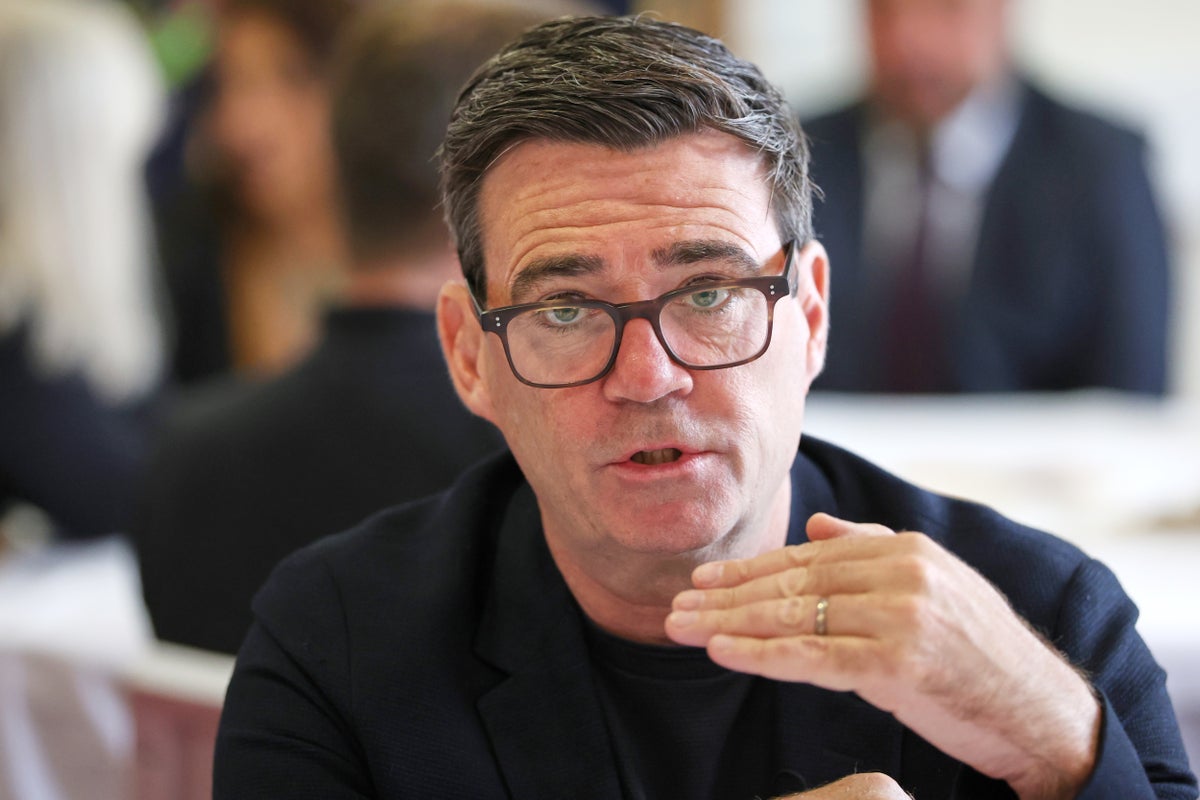 Securing return to EU single market would win Burnham the next election, says former Tory MP turned Labour adviser