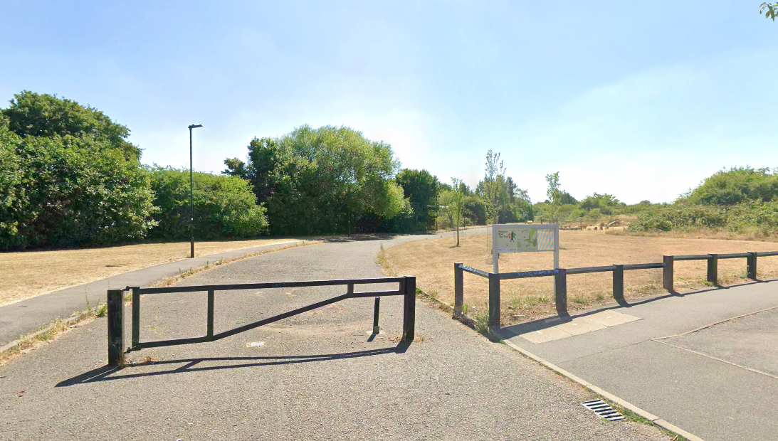 Police launch murder investigation following discovery of human remains in London woodland