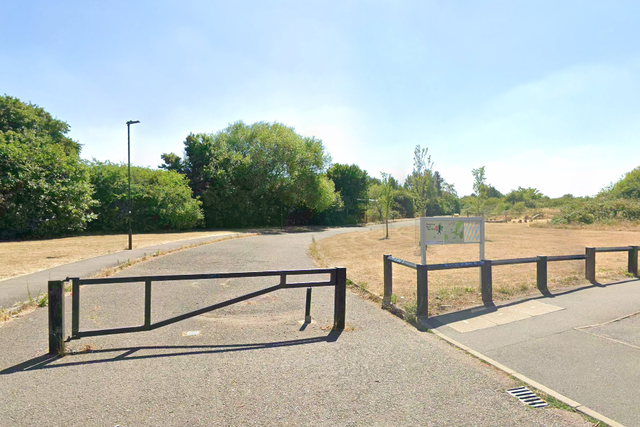 Murder investigation launched after human bones found in woodland