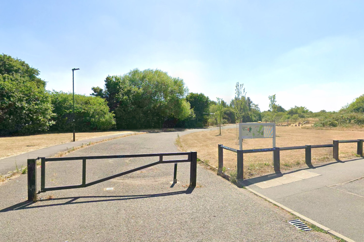Police launch murder investigation following discovery of human remains in London woodland