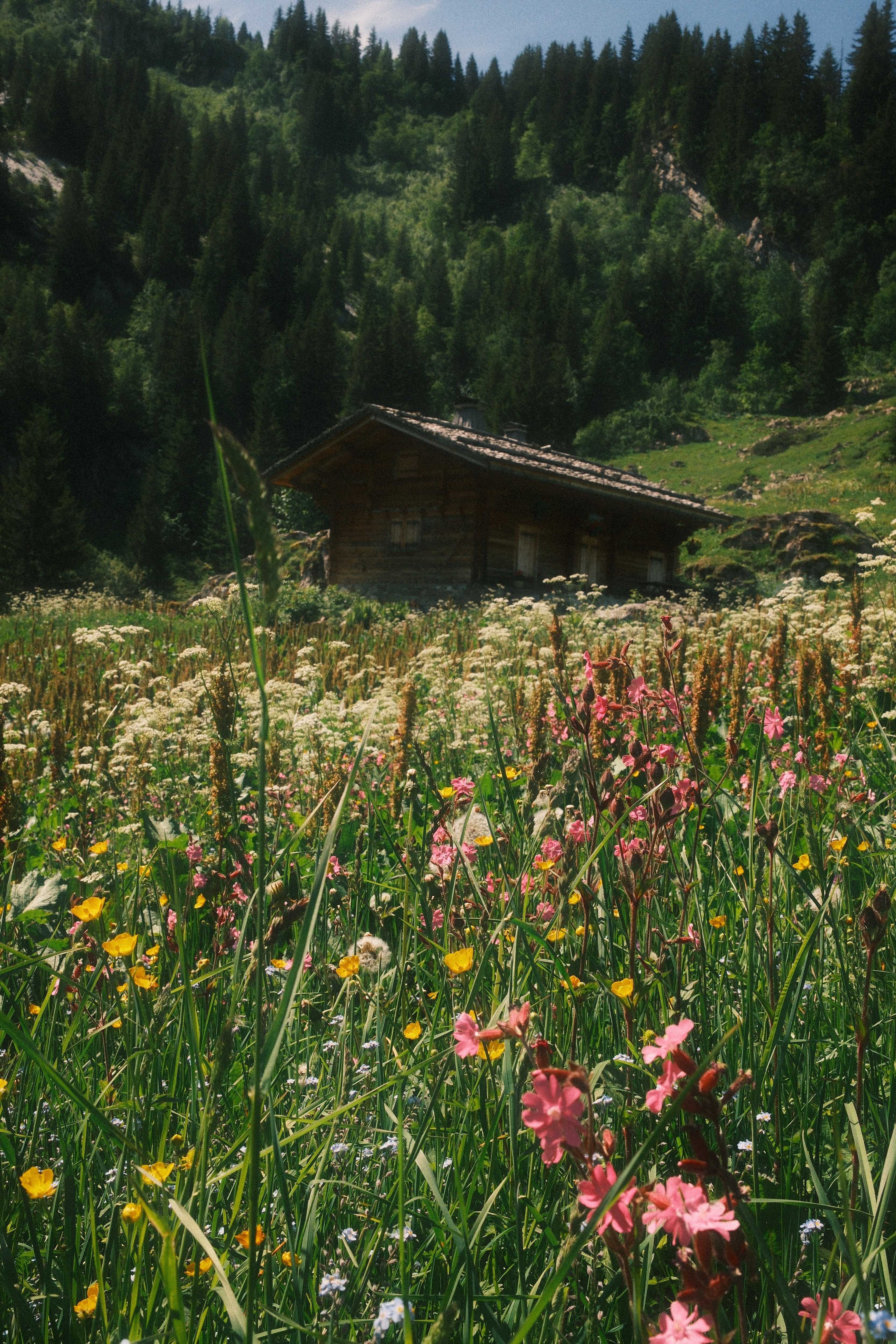 Tiny farms offer a slice of local history