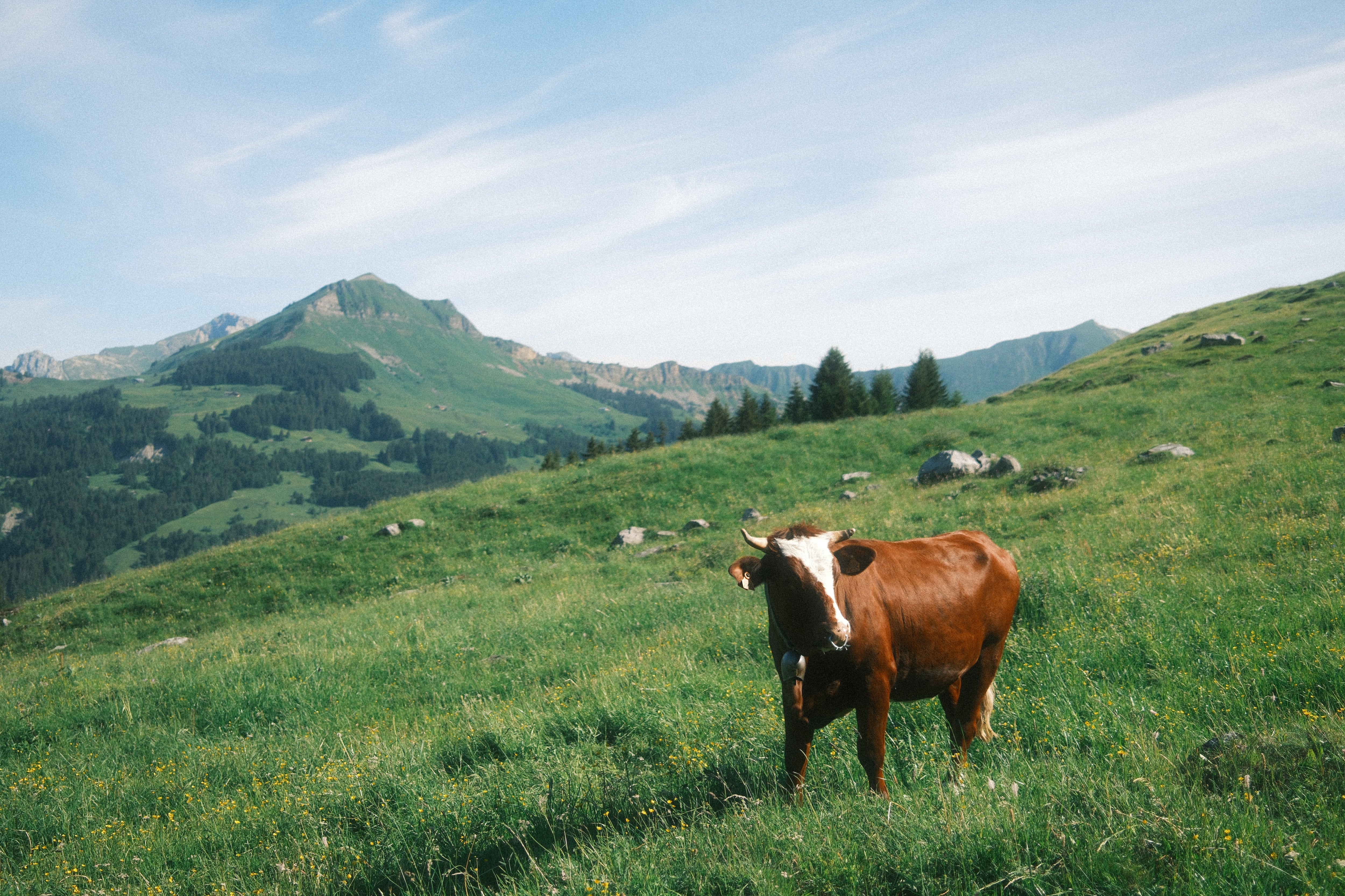 Walking routes between the mountain villages are planned with precision