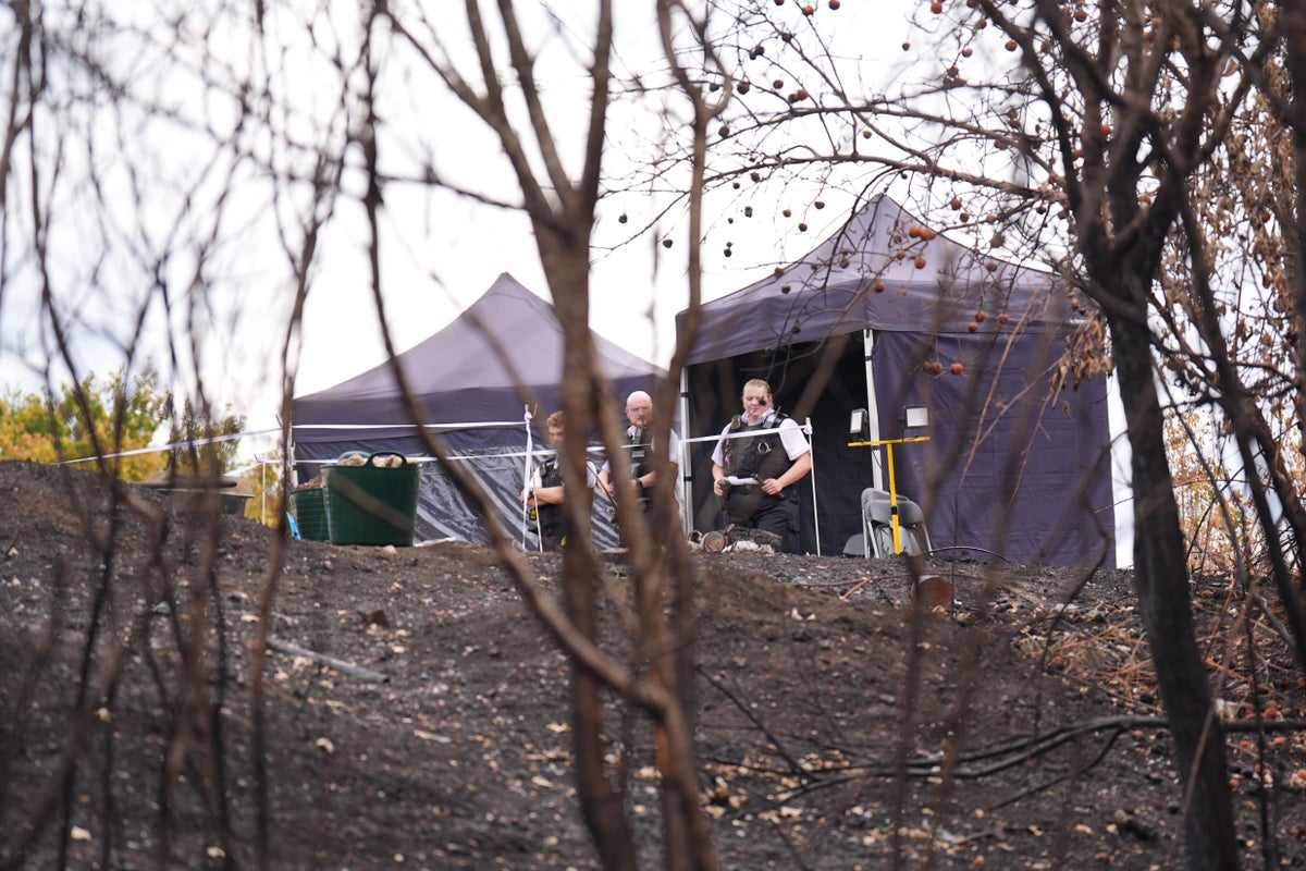 Murder investigation launched after human bones found in London woodland