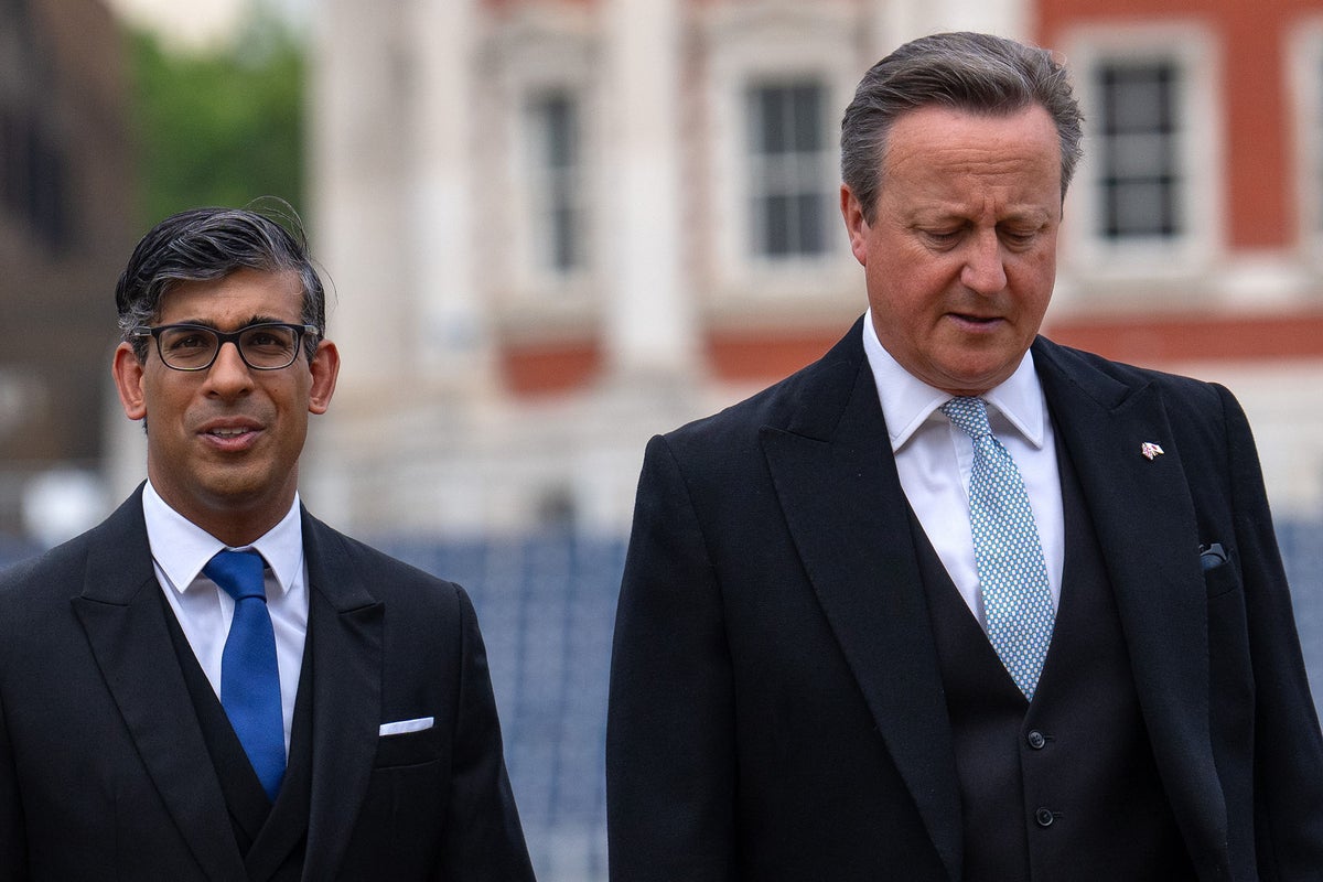 David Cameron ‘pleaded with Sunak’ not to go ahead with election that led to Tory wipeout