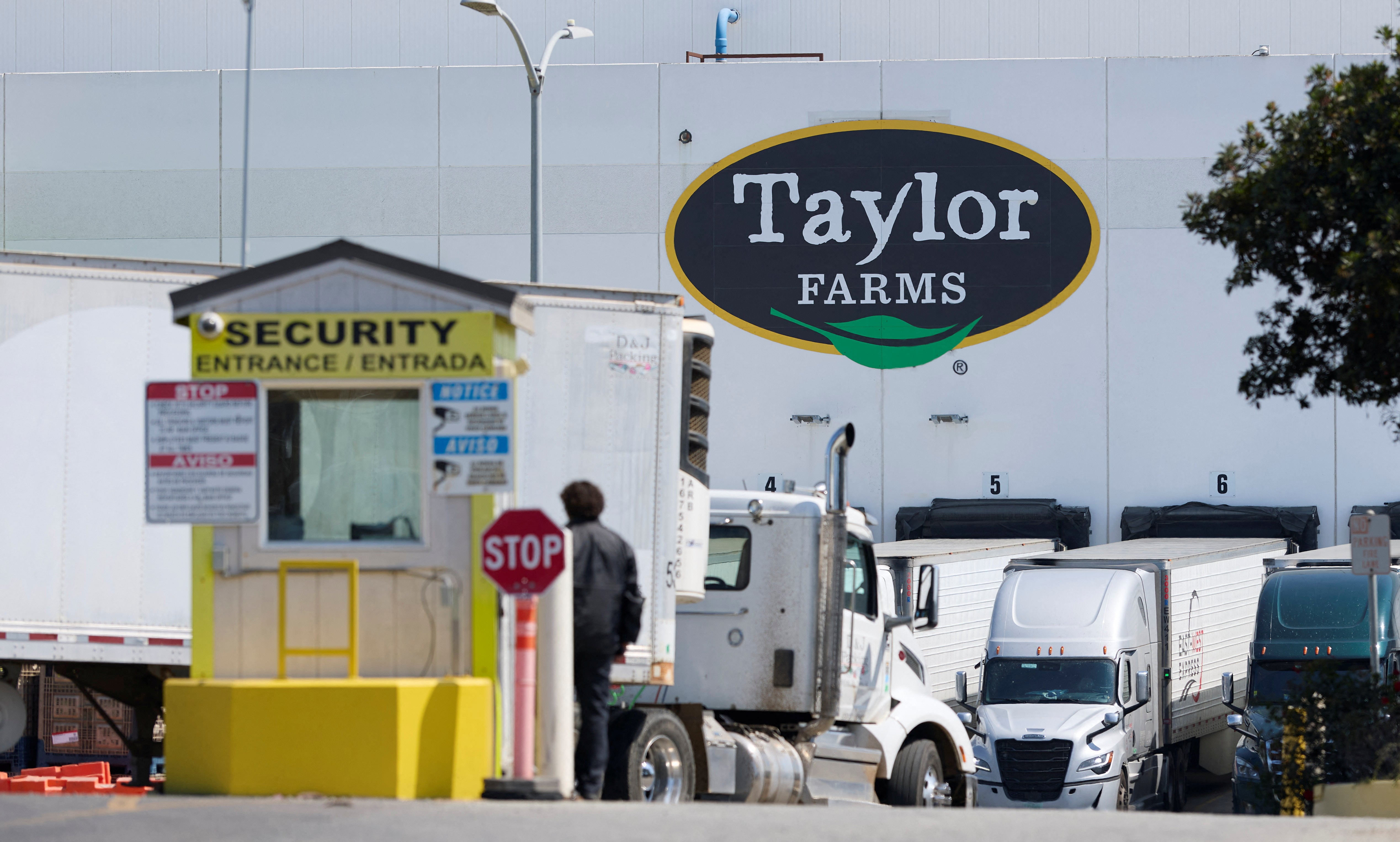 There are now more states potentially affected by the nation’s largest outbreak of cyclosporiasis, according to an update from the US Food and Drug Administration. The outbreak was tied to iceberg lettuce from a Taylor Farms facility in central Mexico