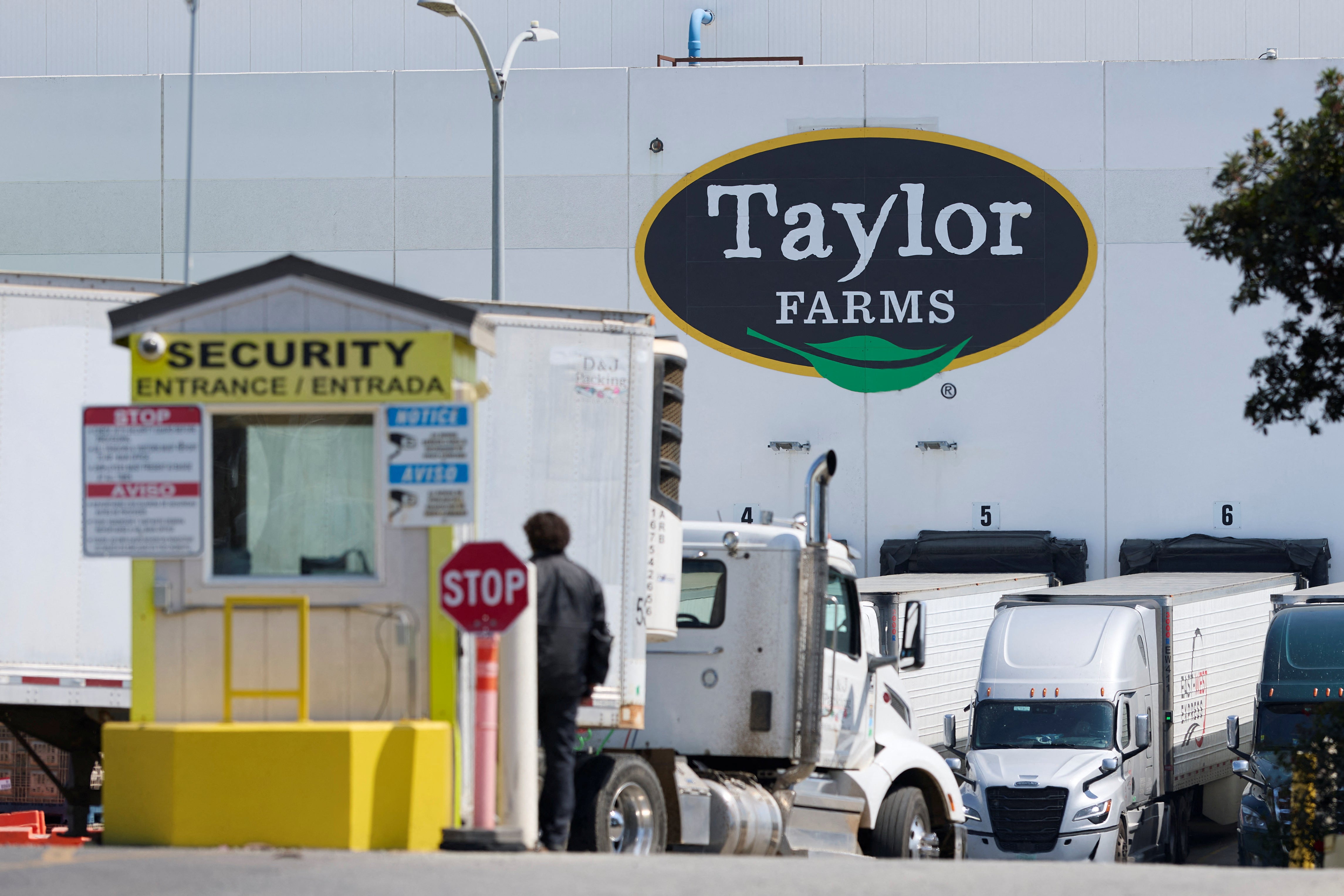 A person stands at the truck entrance to the Taylor Farms processing facility in Salinas, California, earlier this month. Taylor Farms issued a voluntary recall of its iceberg lettuce after a federal investigation (Reuters)