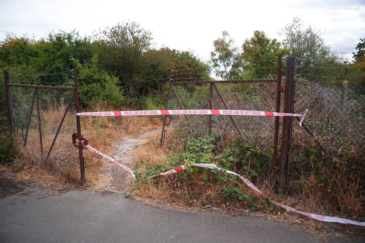 https://static.independent.co.uk/2026/08/21/17/ae59c59909802516178c1e3dad8370adY29udGVudHNlYXJjaGFwaSwxNzg3NDE2NTg2-2.85621549.jpg?width=1200&height=800&crop=1200:800