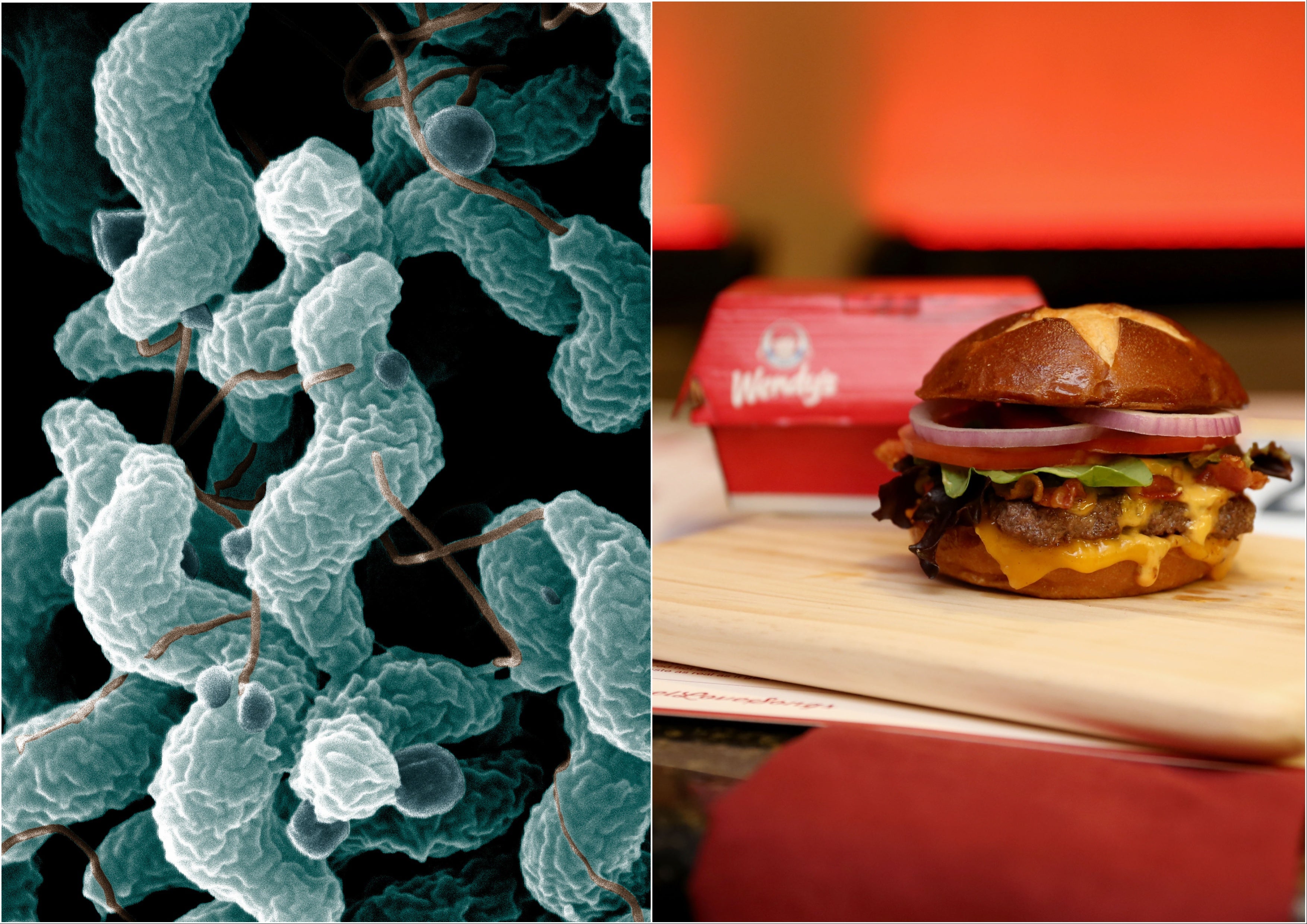 independent.co.uk - Justin Rohrlich - Exclusive: Chicago woman hospitalized after eating 'tainted' Wendy's cheeseburger