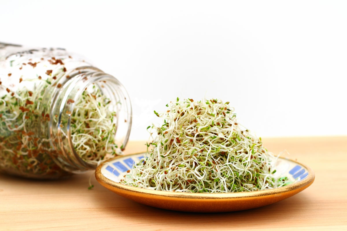 CDC reports 55 cases of food poisoning linked to alfalfa sprouts in 15 states