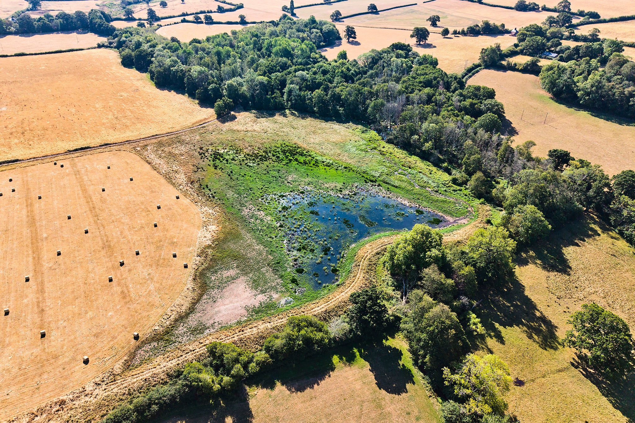 Provisional Met Office figures indicate this summer was the UK’s hottest since records began in 1884, with drought declared across most of England and all of Wales